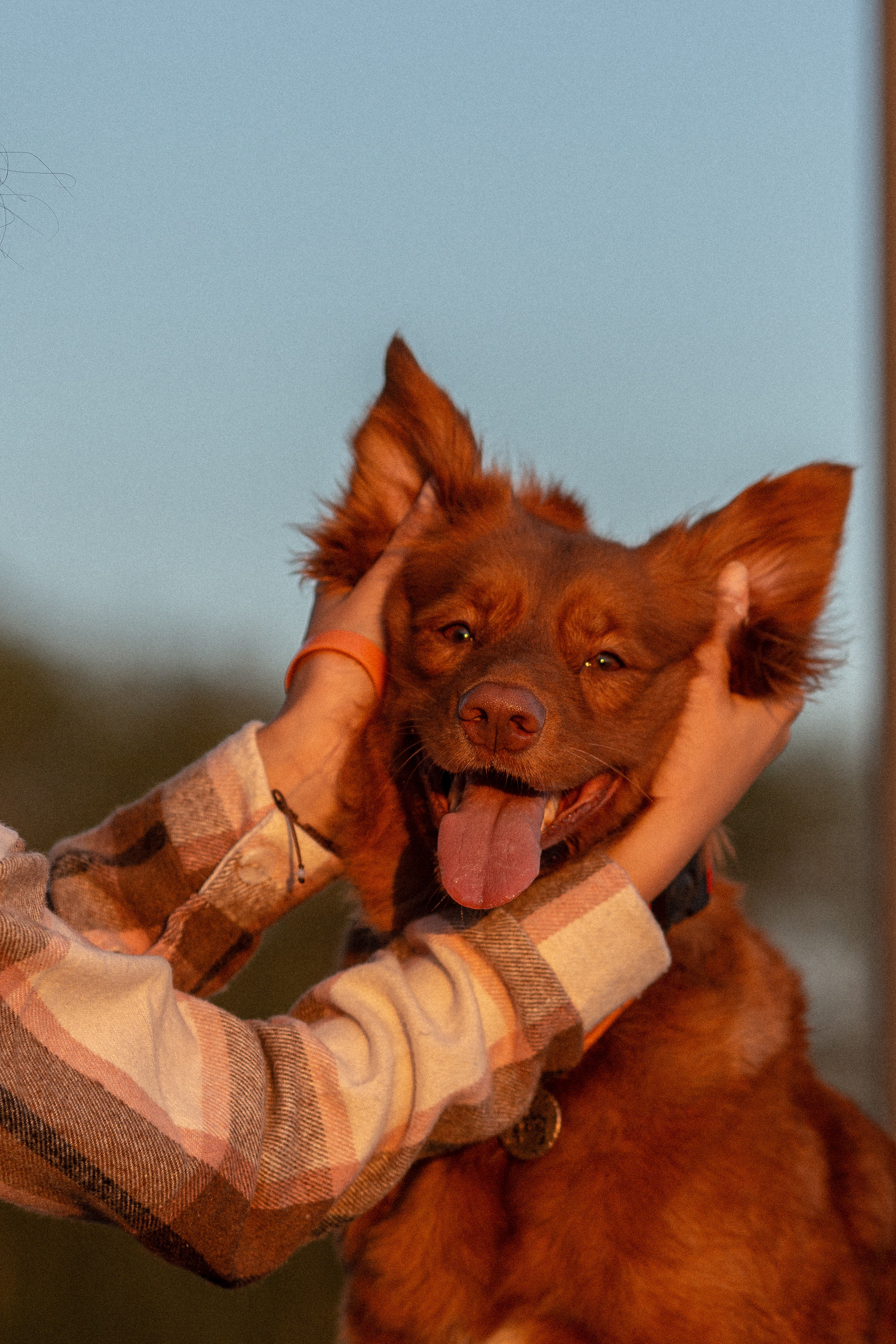 Полина и Эста. Фотограф Анималист в Перми Анастасия Остерман