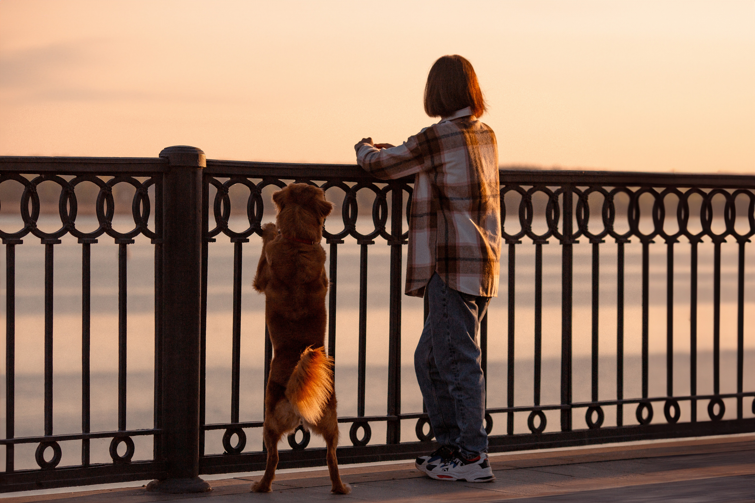 Полина и Эста. Фотограф Анималист в Перми Анастасия Остерман