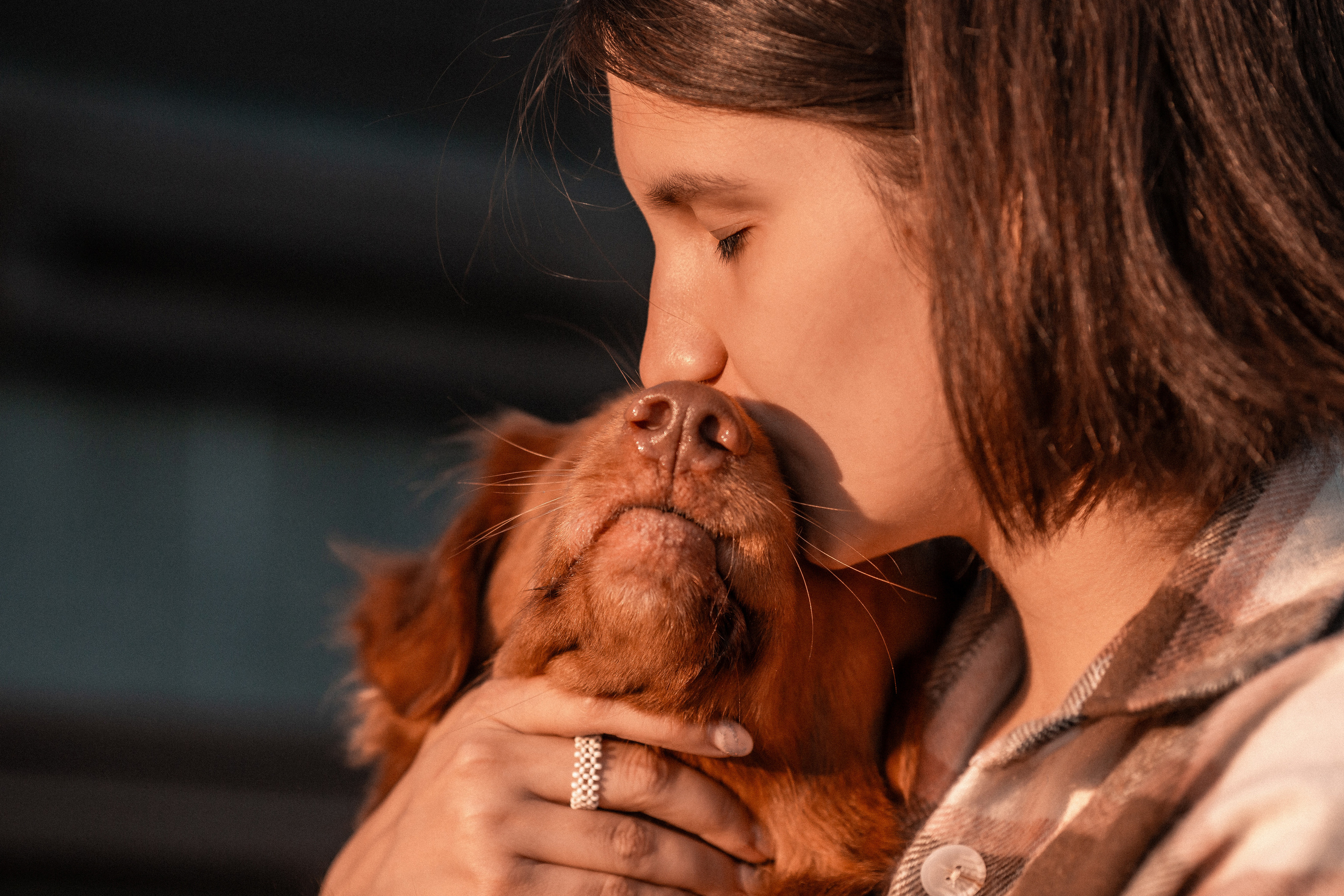 Полина и Эста. Фотограф Анималист в Перми Анастасия Остерман