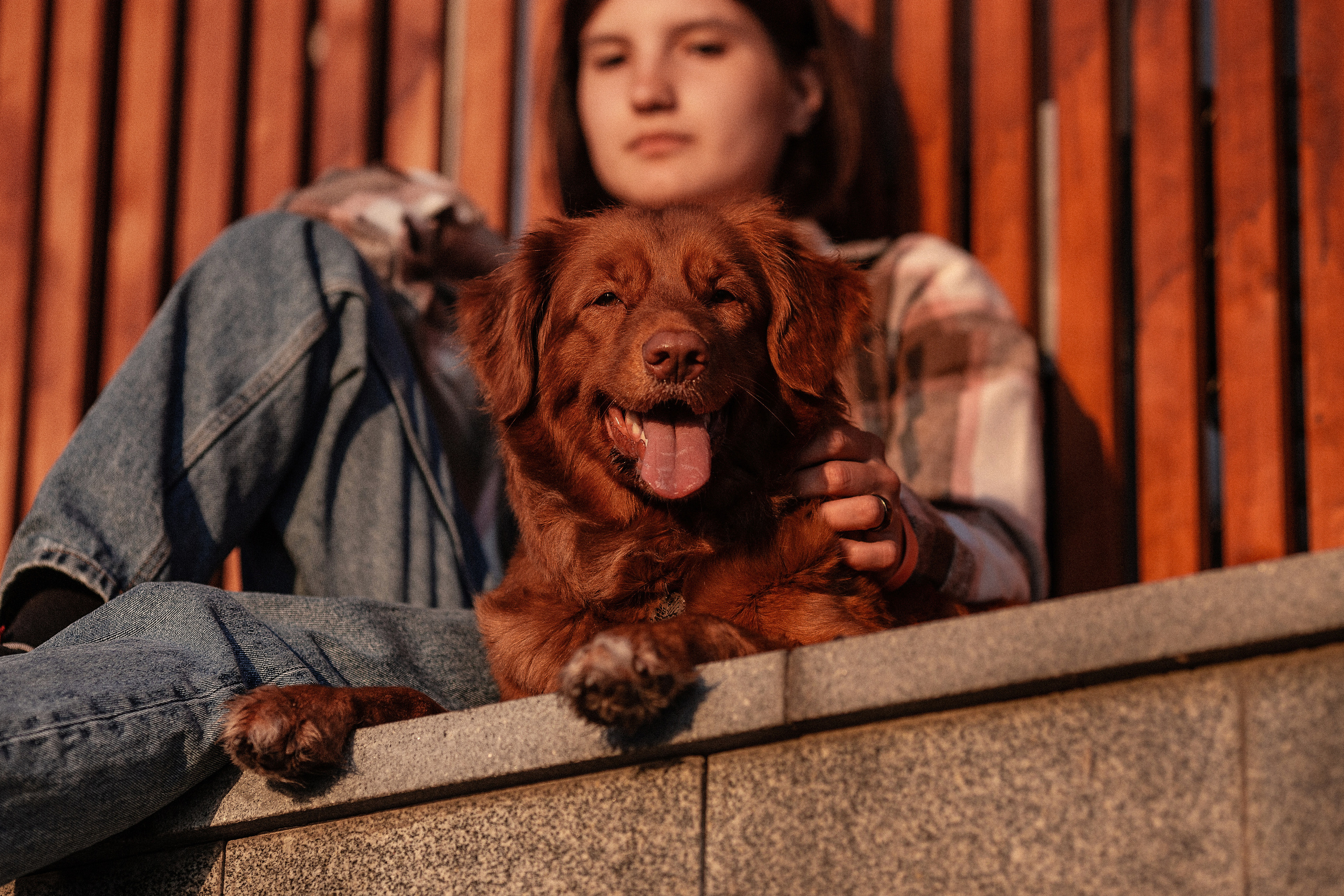 Полина и Эста. Фотограф Анималист в Перми Анастасия Остерман