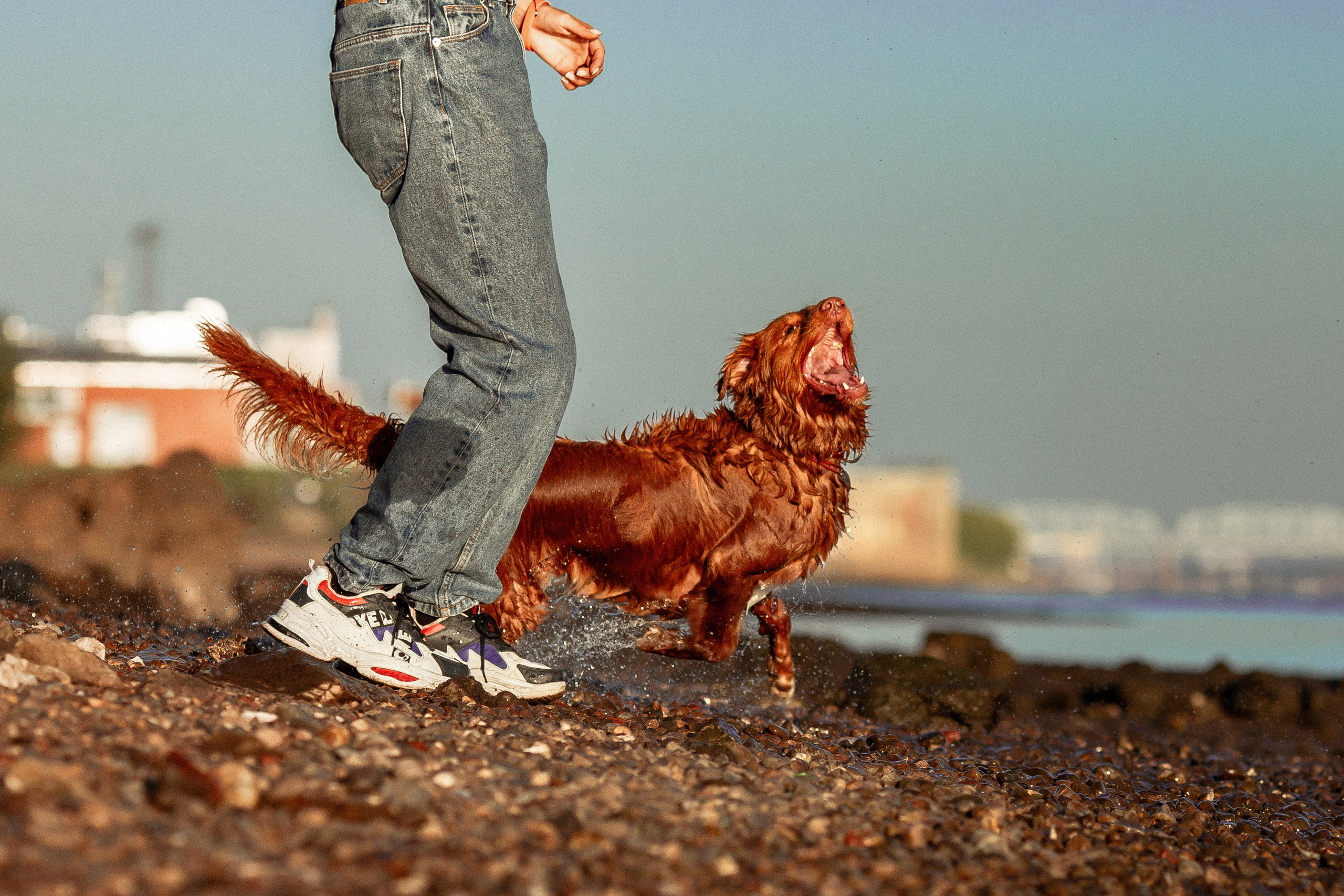 Полина и Эста. Фотограф Анималист в Перми Анастасия Остерман