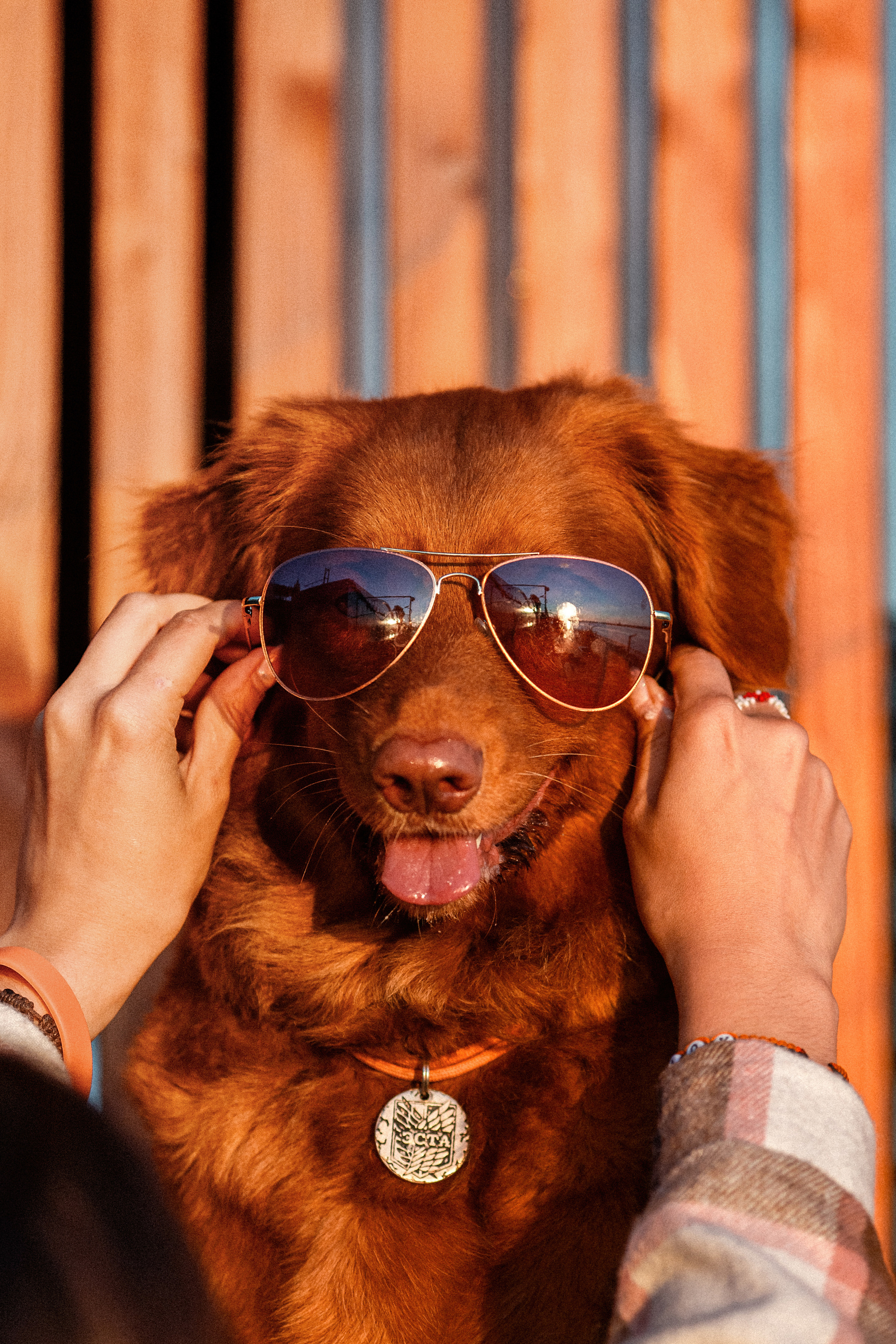 Полина и Эста. Фотограф Анималист в Перми Анастасия Остерман
