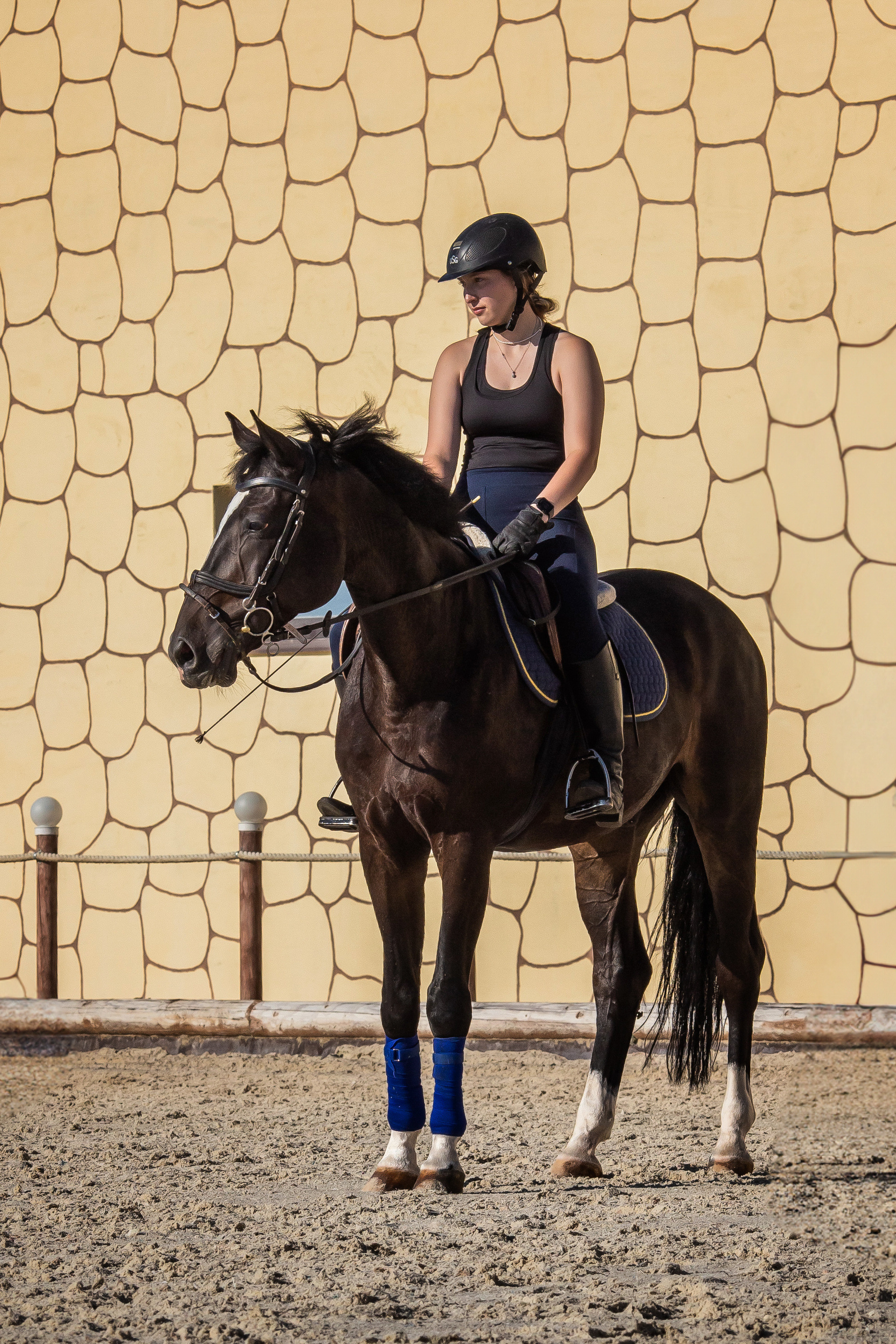 Прыжковая тренировка с Олесей и Игреком. Фотограф Анималист в Перми Анастасия Остерман