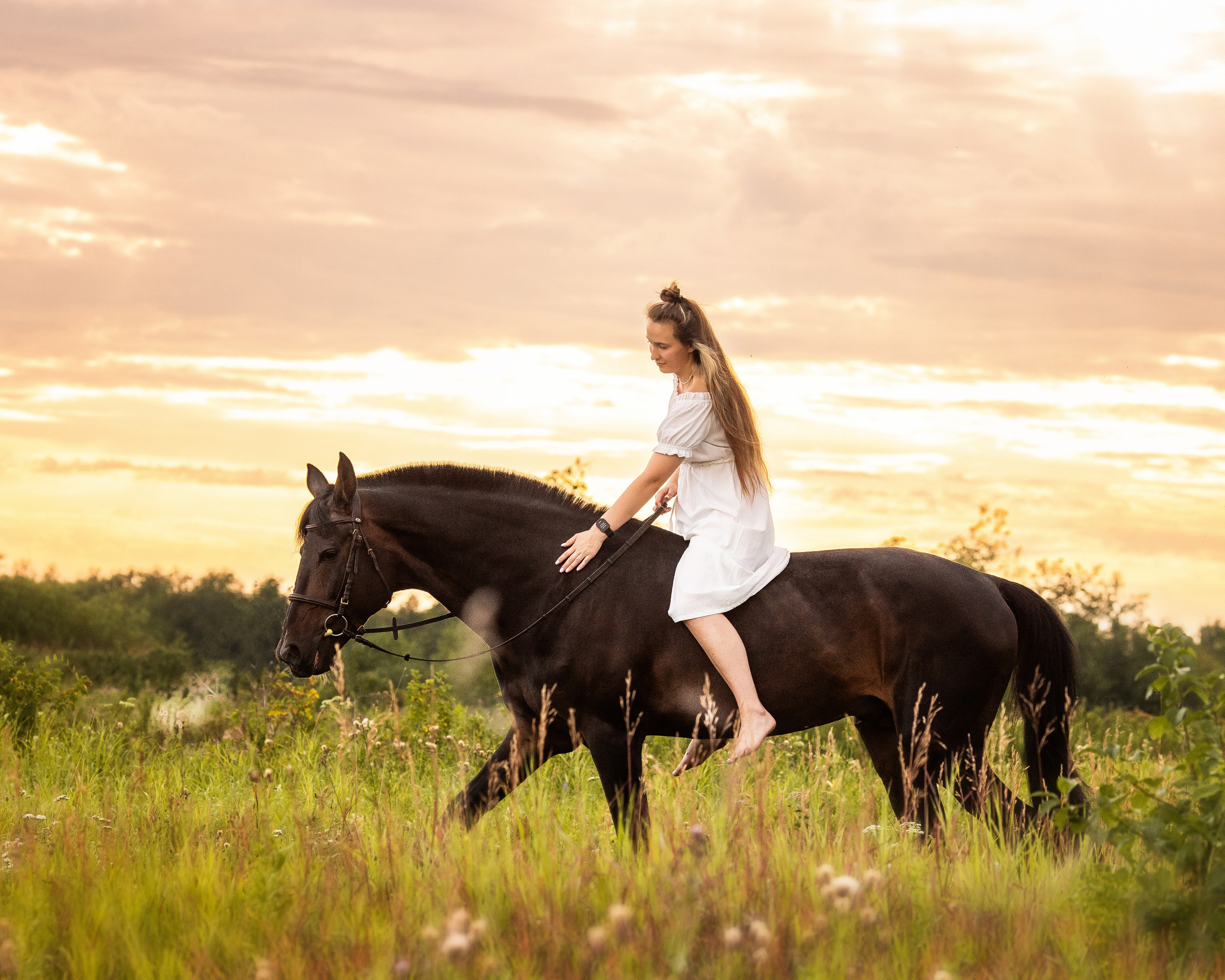 Олеся и Игрек. Фотограф Анималист в Перми Анастасия Остерман