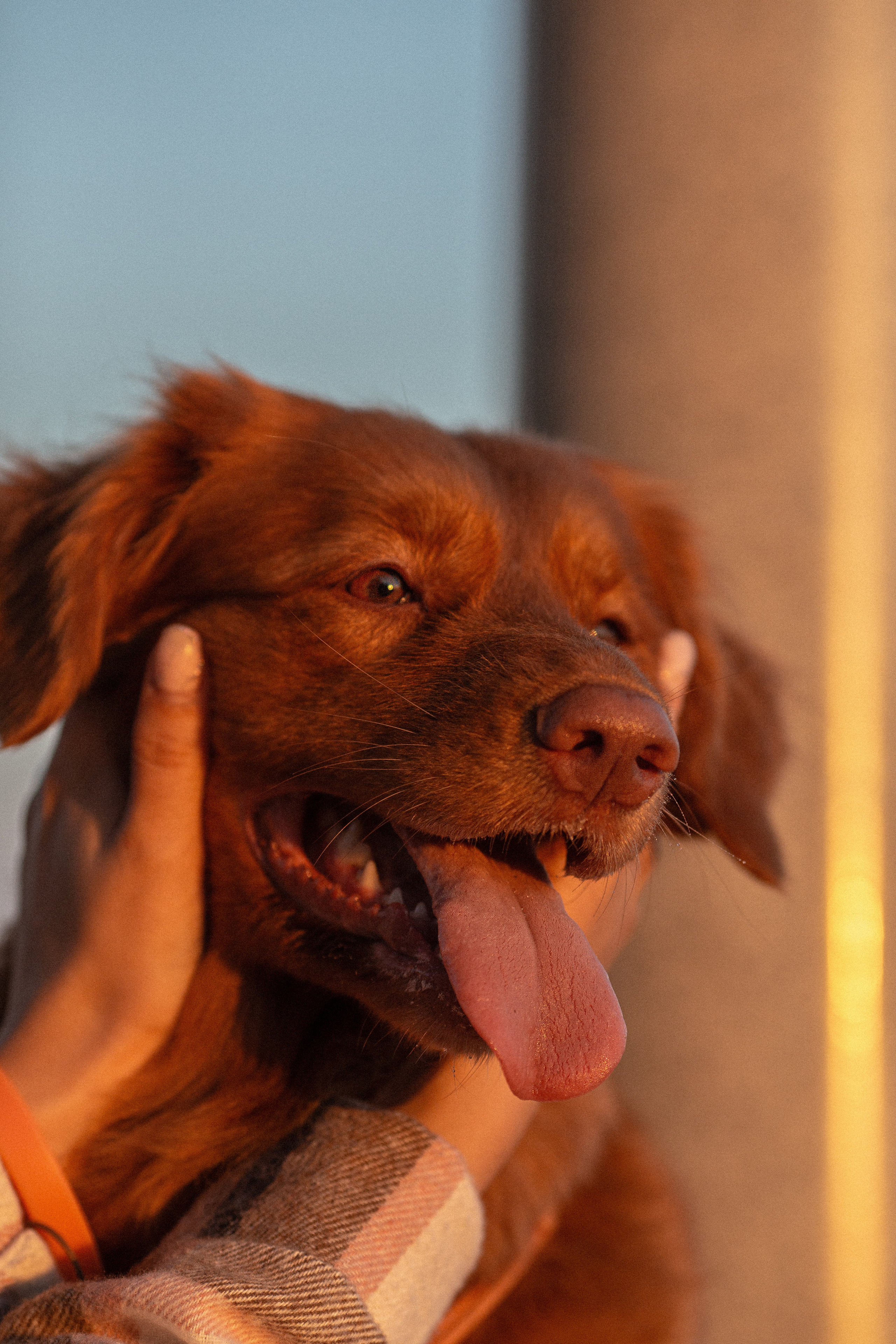 Полина и Эста