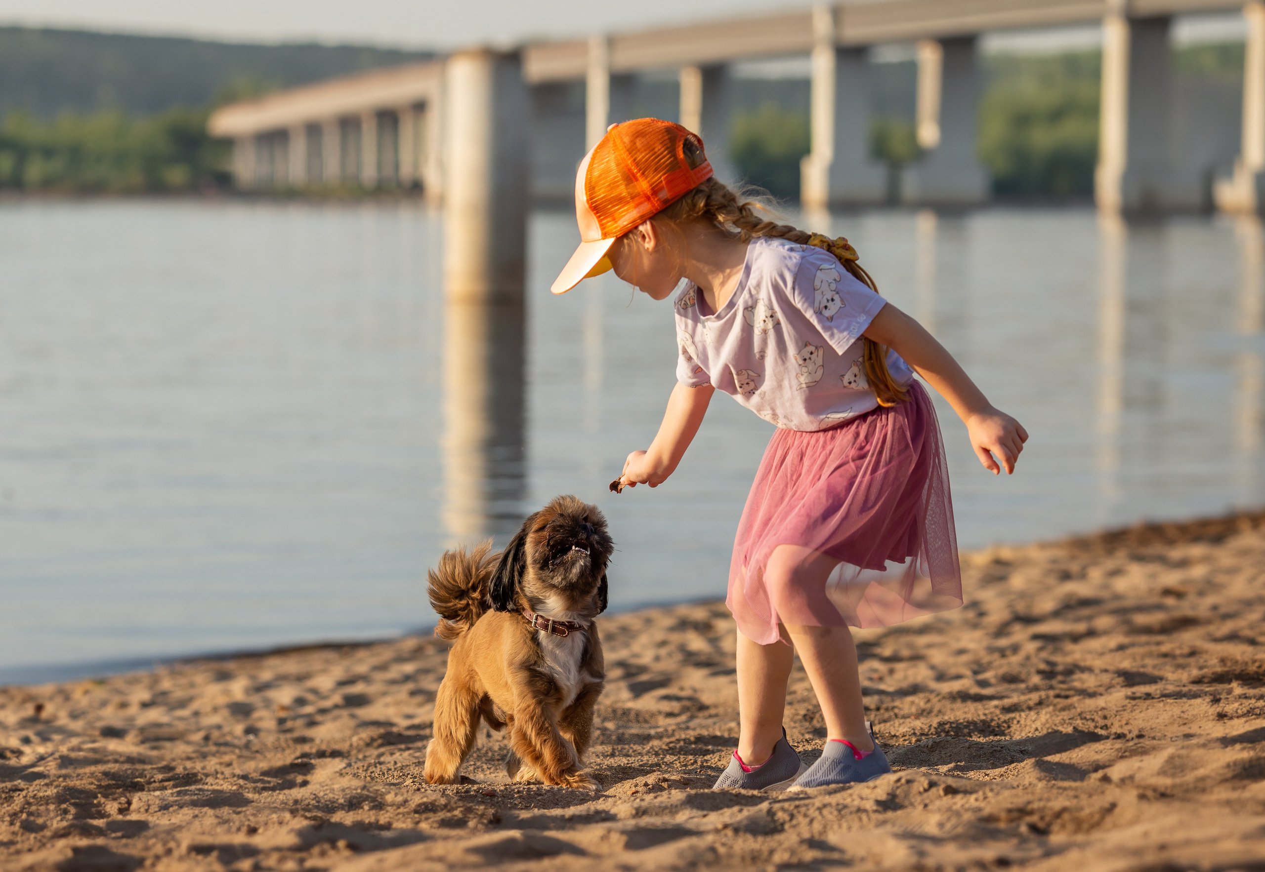 Щи-тцу и малышка. Фотограф Анималист в Перми Анастасия Остерман