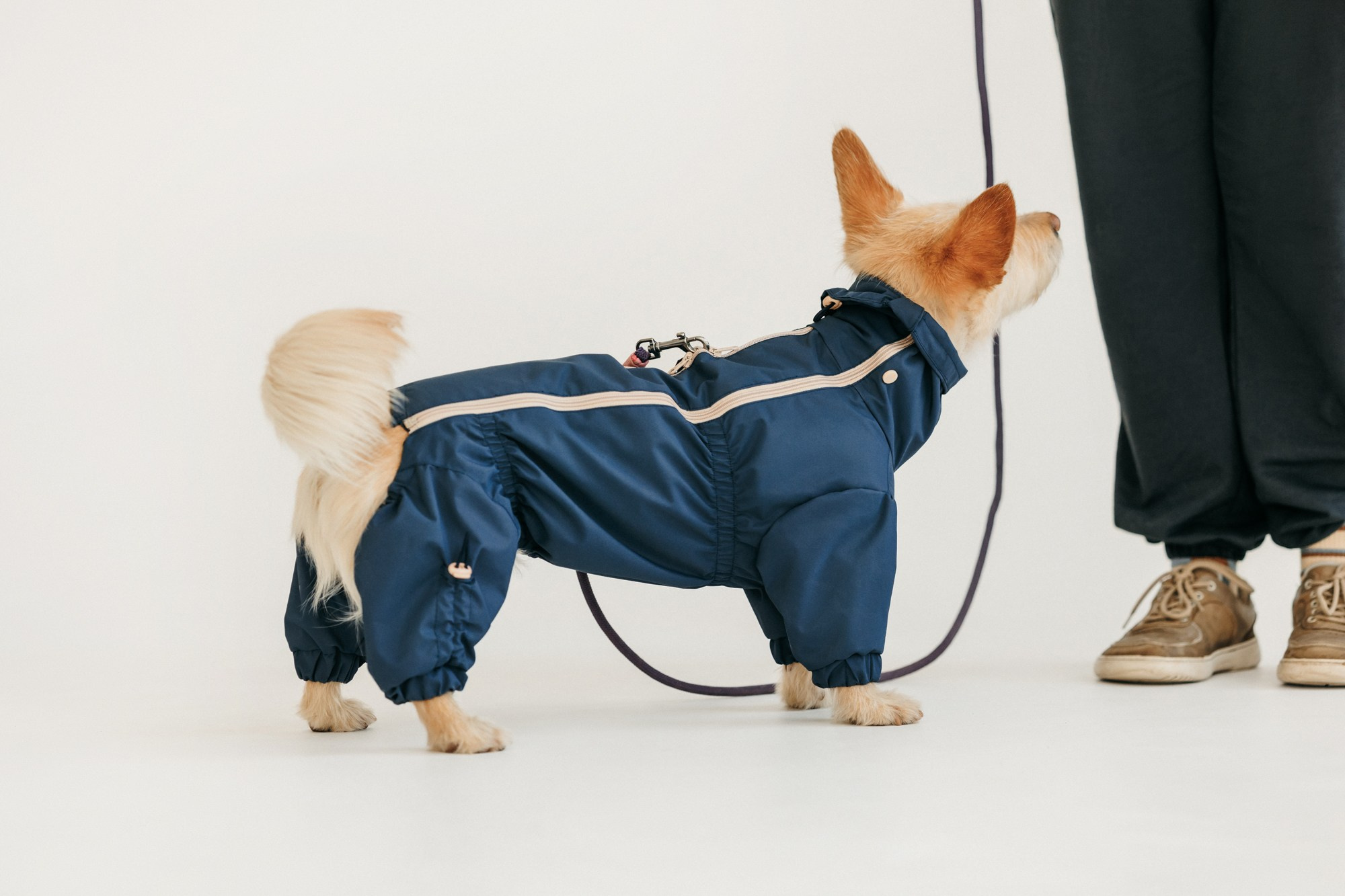 Одежда Lapa`s brand. Фотограф-анималист Елена Радченко, Москва