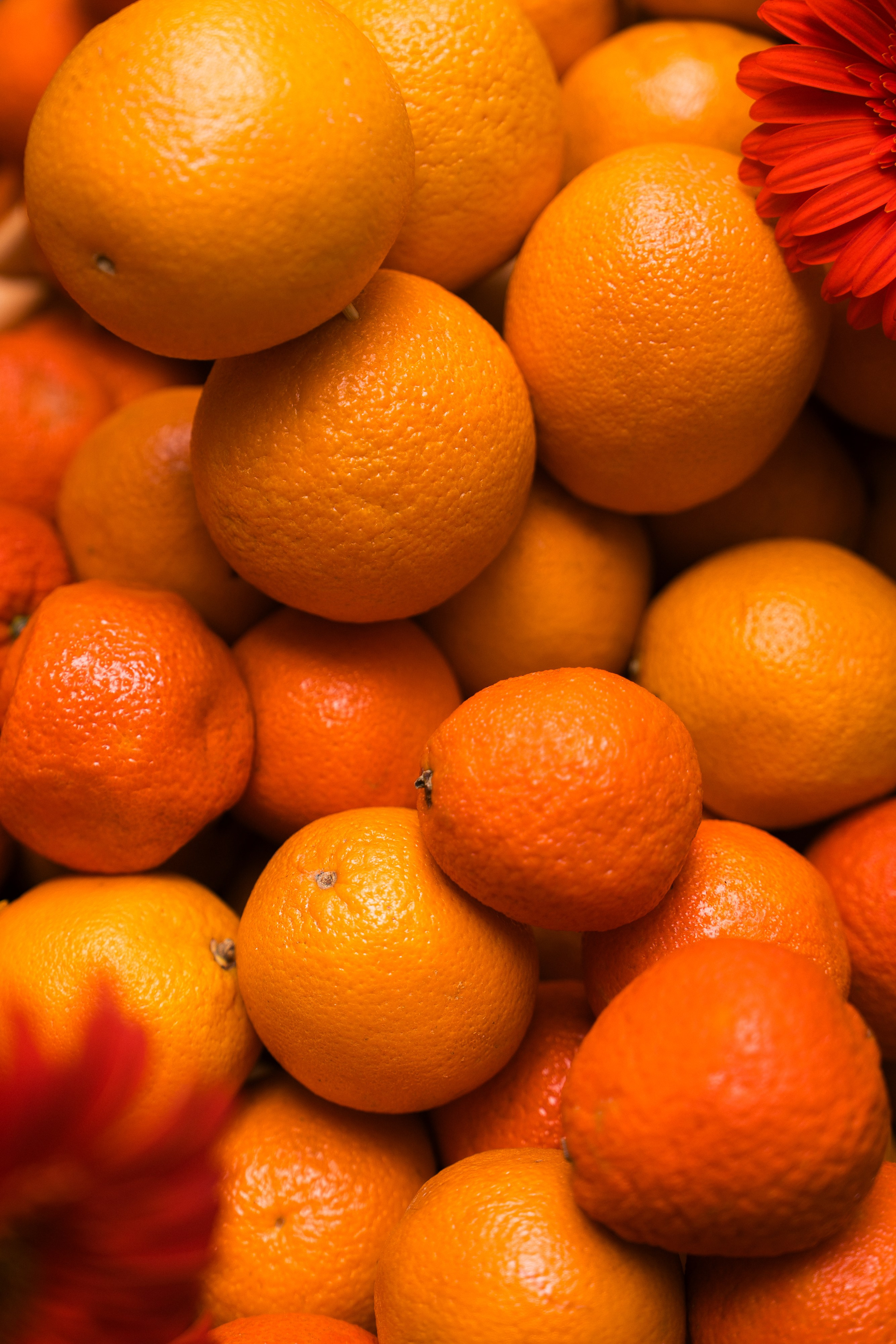 Диана & Серж. Свадебное агентство WedStories agency