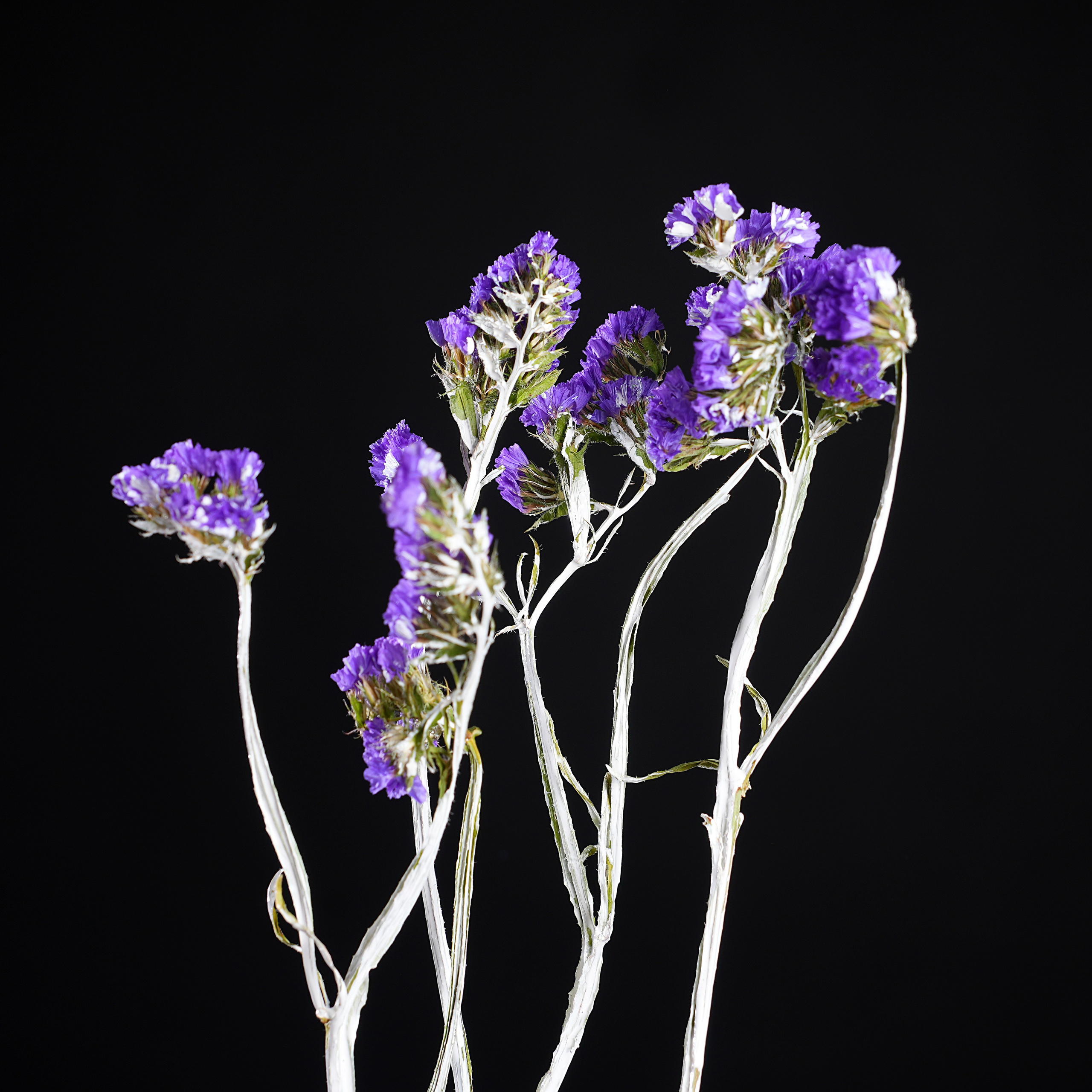 Предметная фотосъёмка. Фотограф, видеооператор Нина Коршунова