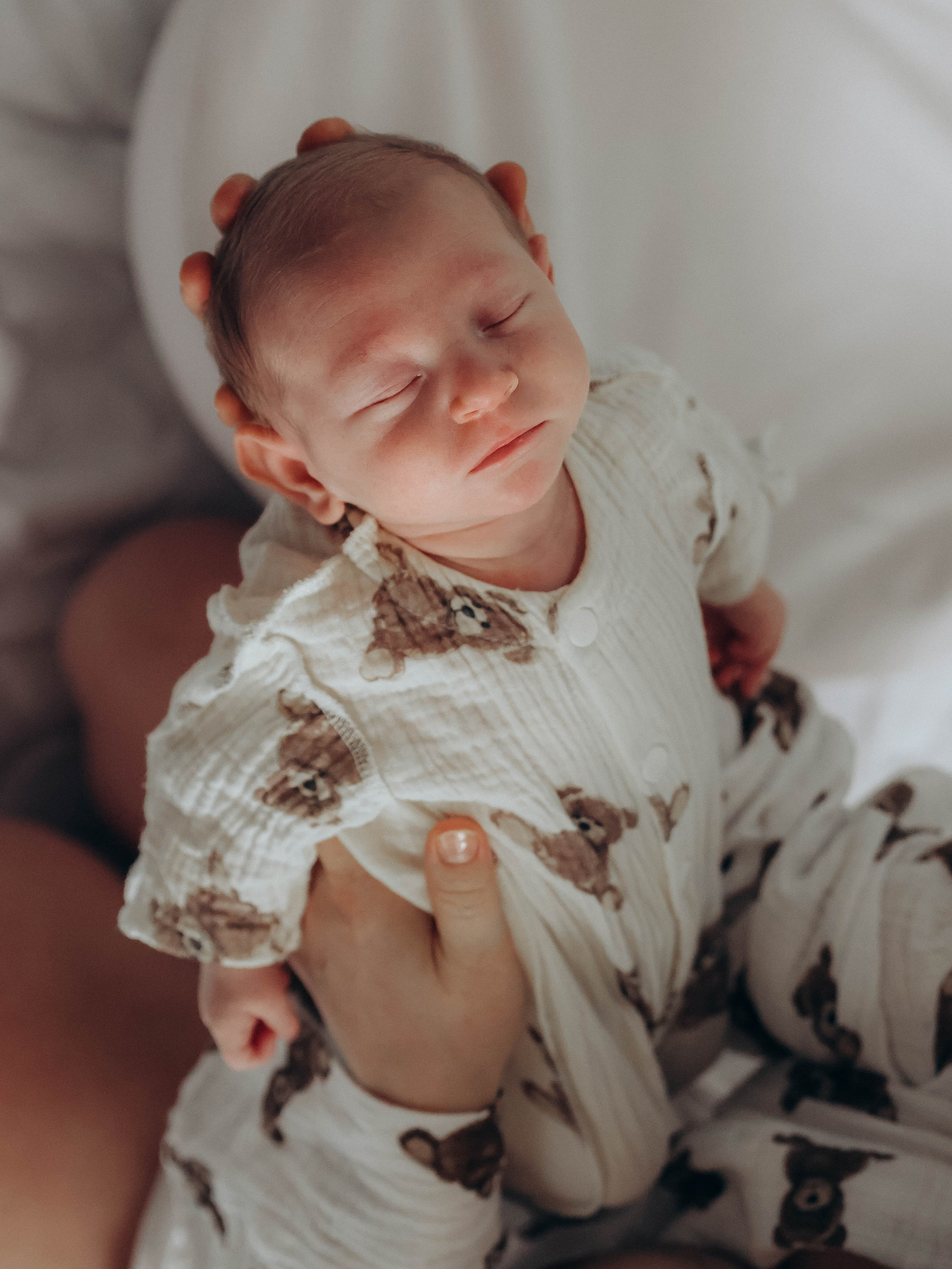 Любовь и котики. Мультифотограф Динара Ахмедзянова