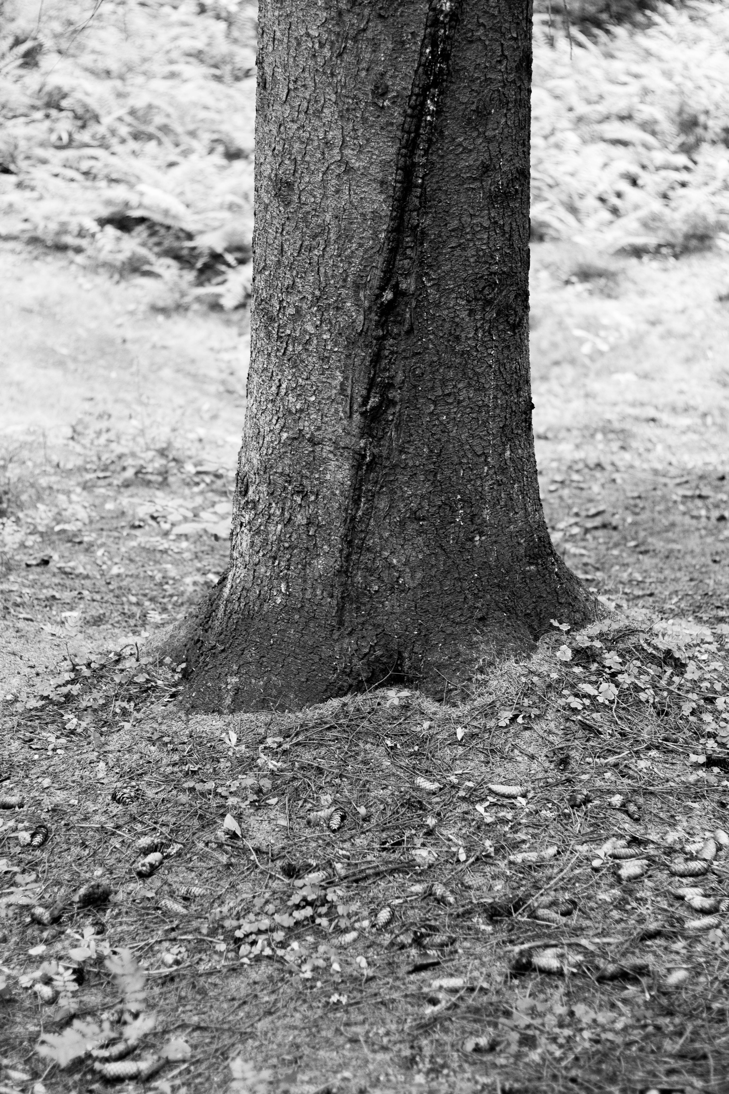 How Sasha Litvinov buried the gun. Kristina Sergeeva