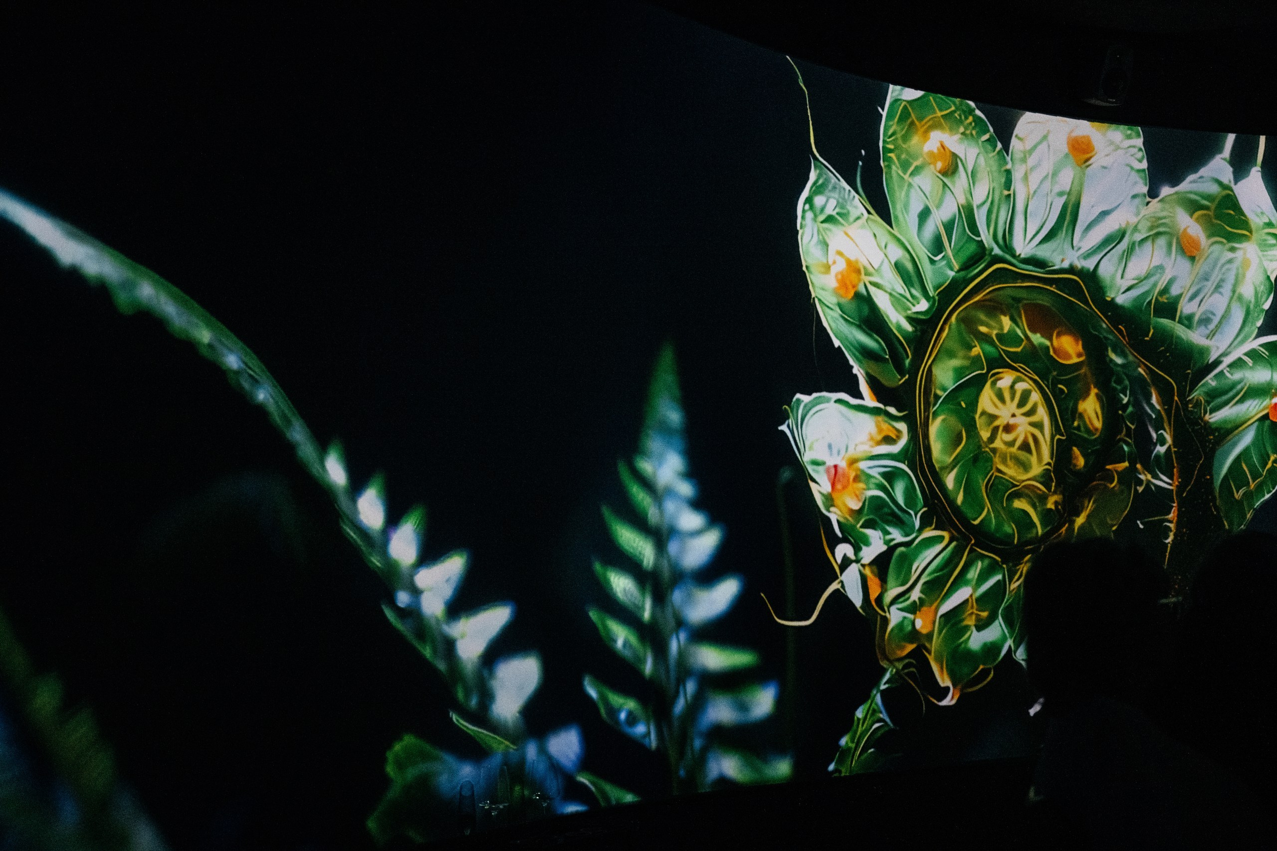 Birthday NDA. Wedding photographer in Moscow and around the world Andrey Medvednikov