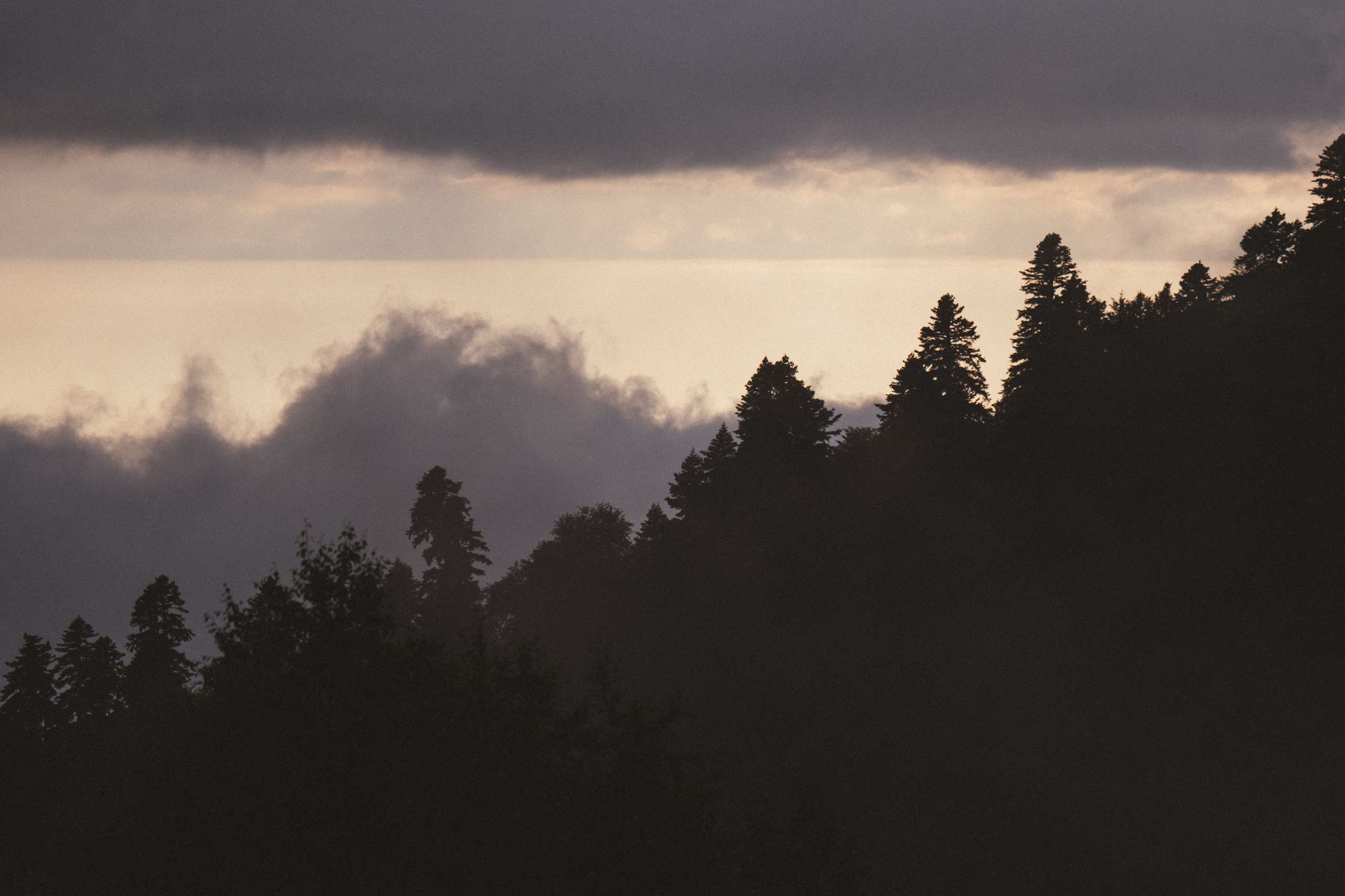 Нахазо ✽ Июль. Репортажный фотограф | Роза Хутор Красная Поляна Сочи Сириус