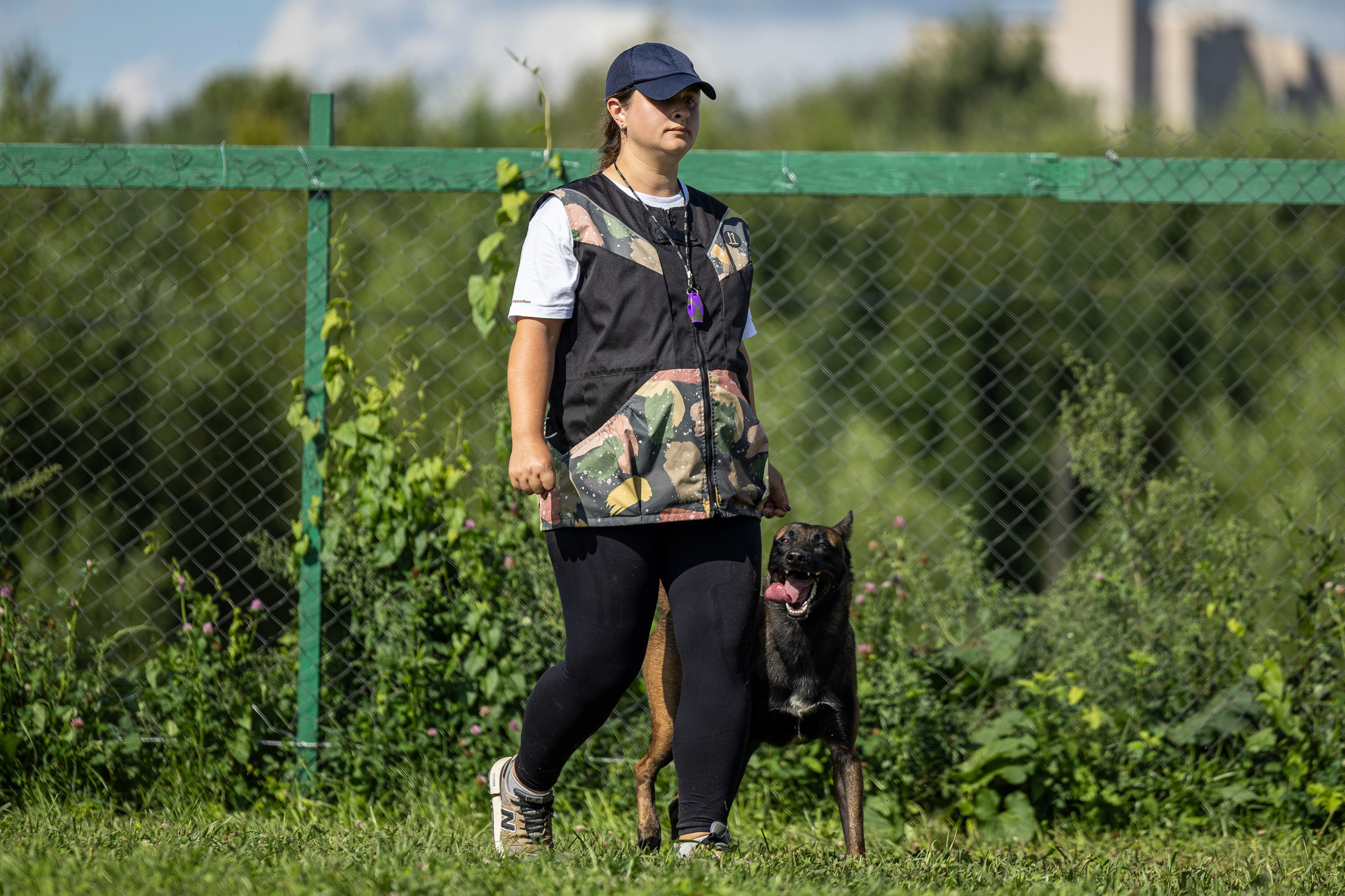 Соревнования по Мондьорингу г. Вологда 10-11.08.2024. Фотограф-анималист Анна Маринич