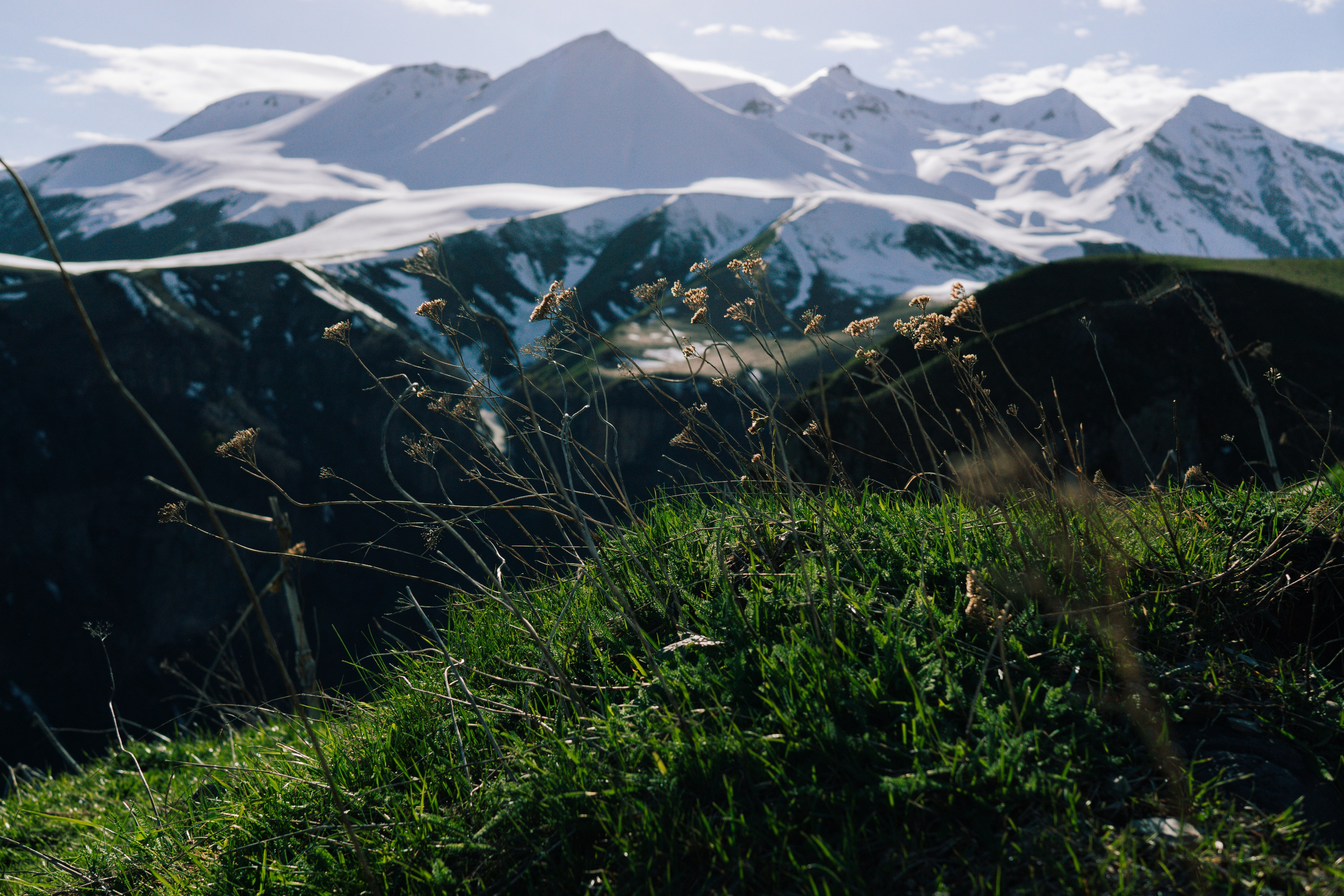 Wallpapers. Фотограф Казань