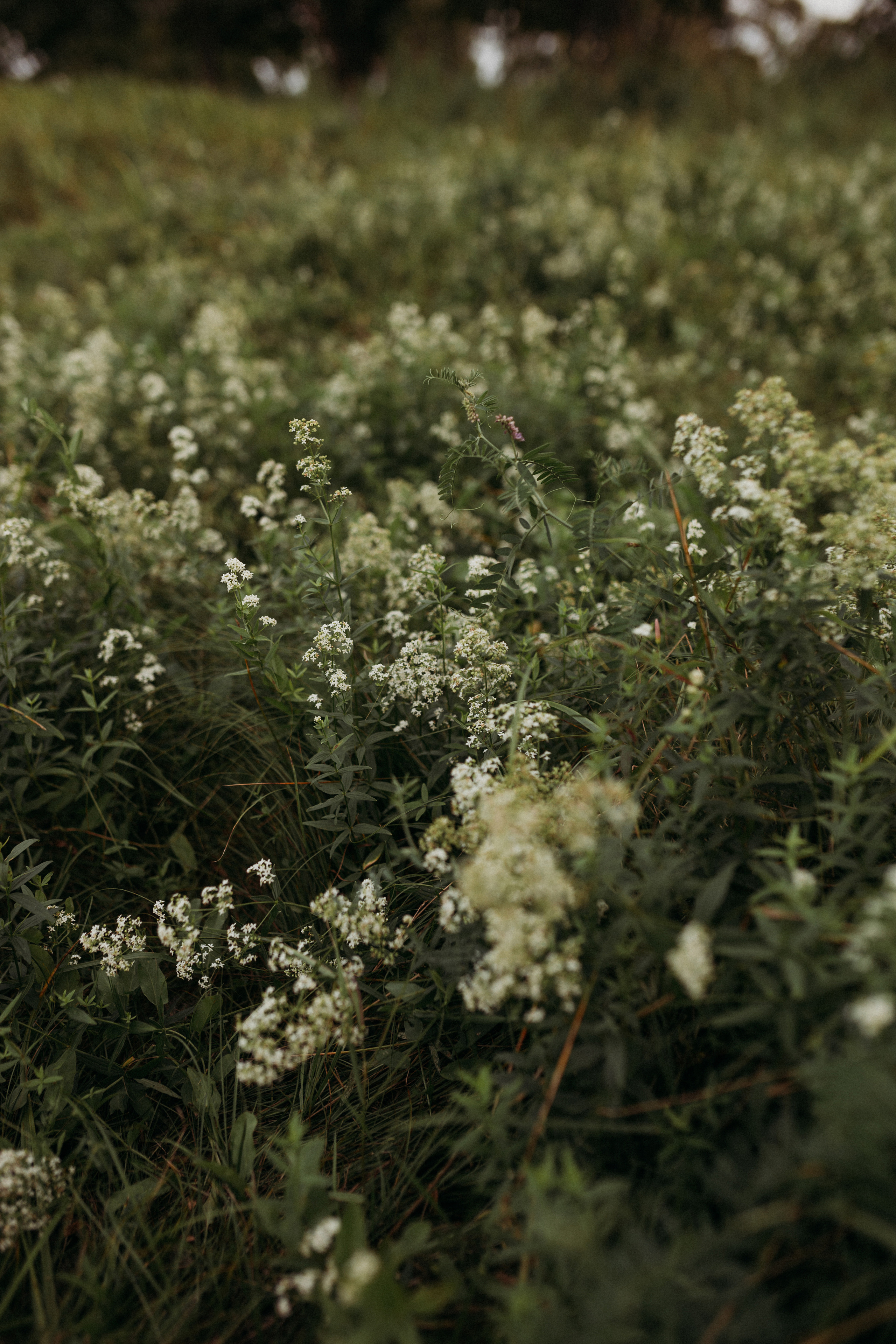 Даша и мама. Семейный и детский фотограф в Рязани Екатерина Воронцова