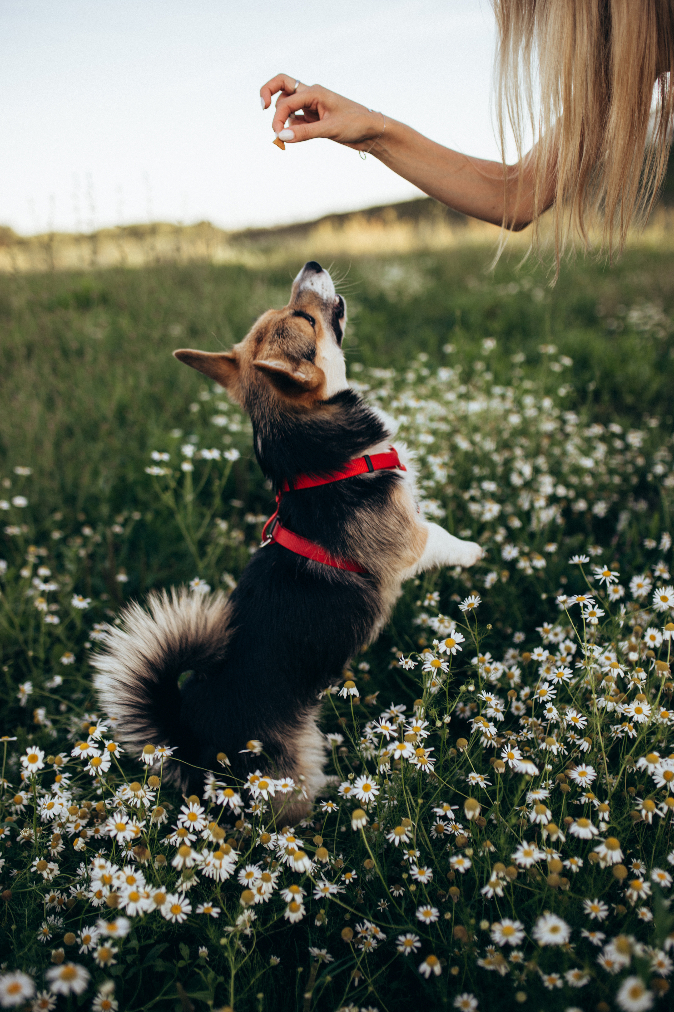 Вика и Витя. Семейный и детский фотограф в Рязани Екатерина Воронцова