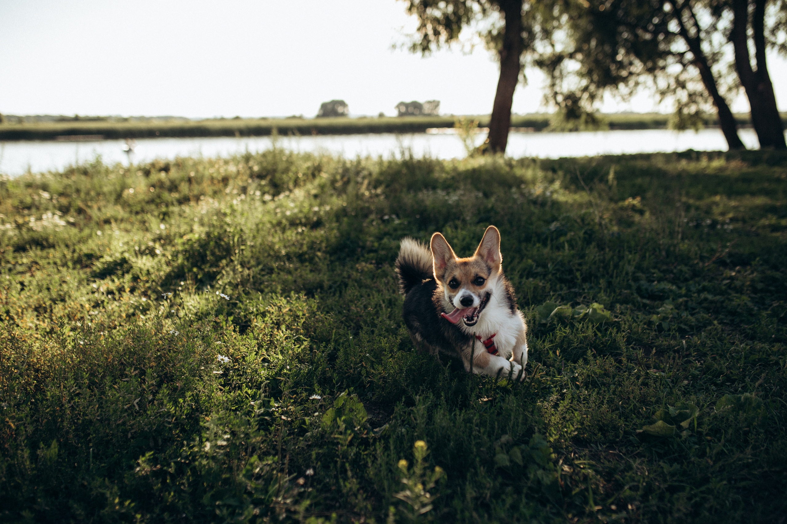 Вика и Витя. Семейный и детский фотограф в Рязани Екатерина Воронцова