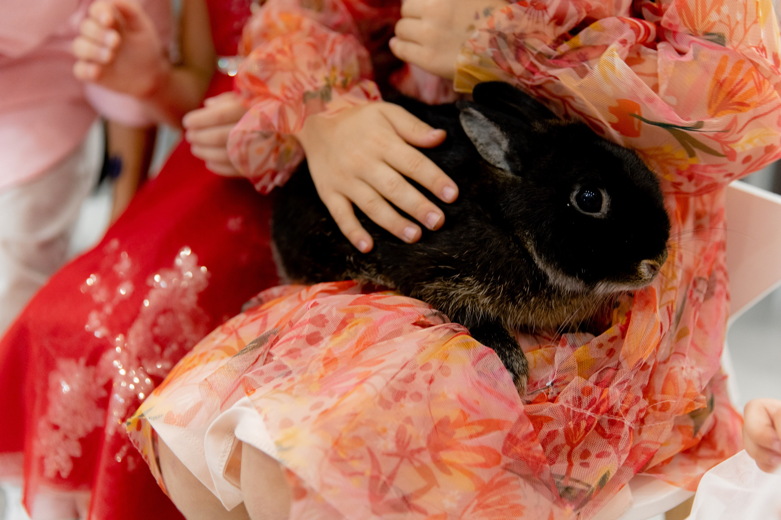 Стефания 2 года. Фотограф Роман Полянин