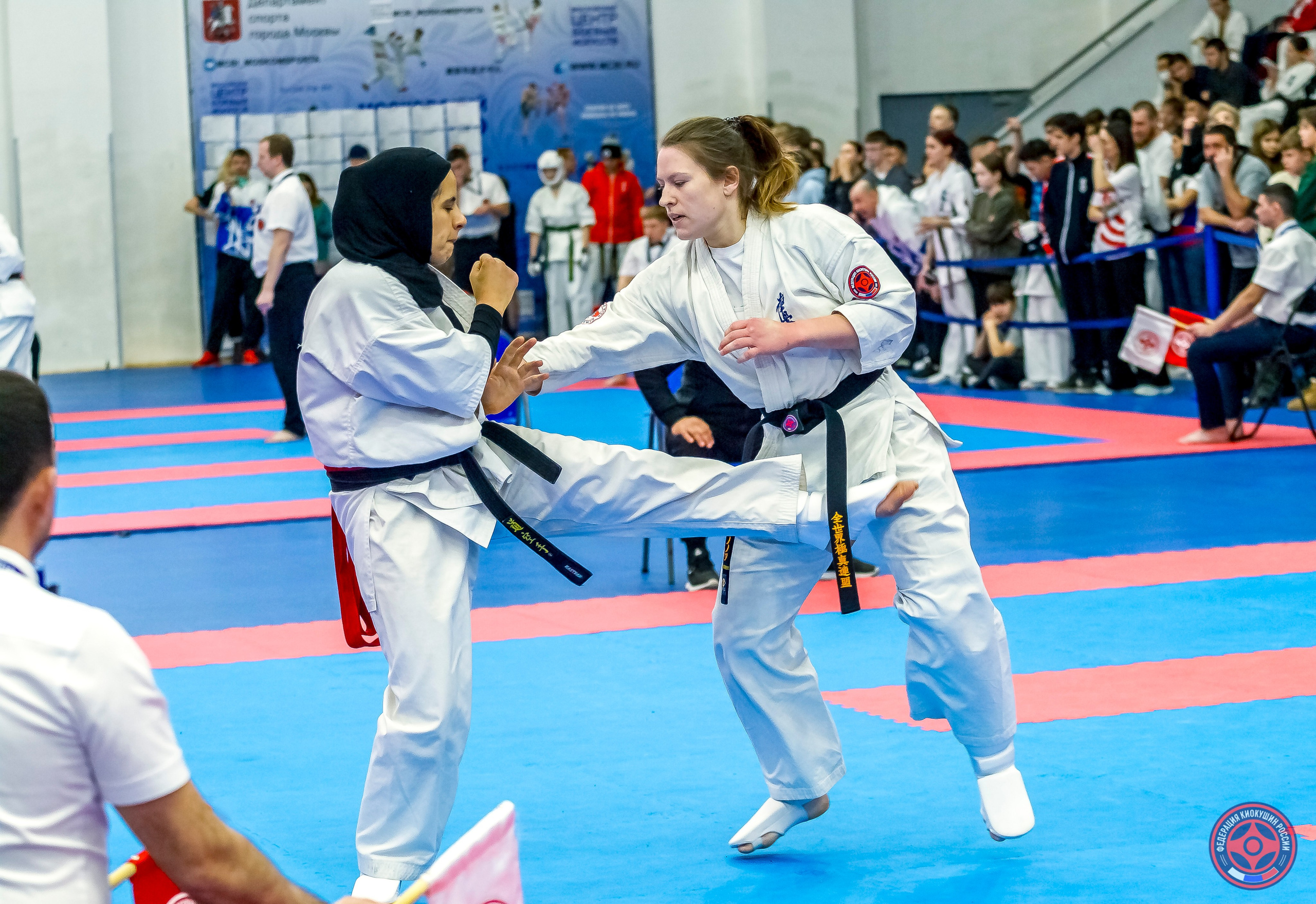 Международный турнир по киокушин «Открытый кубок Seiken». Репортажная съемка в Москве и области. Анималистика