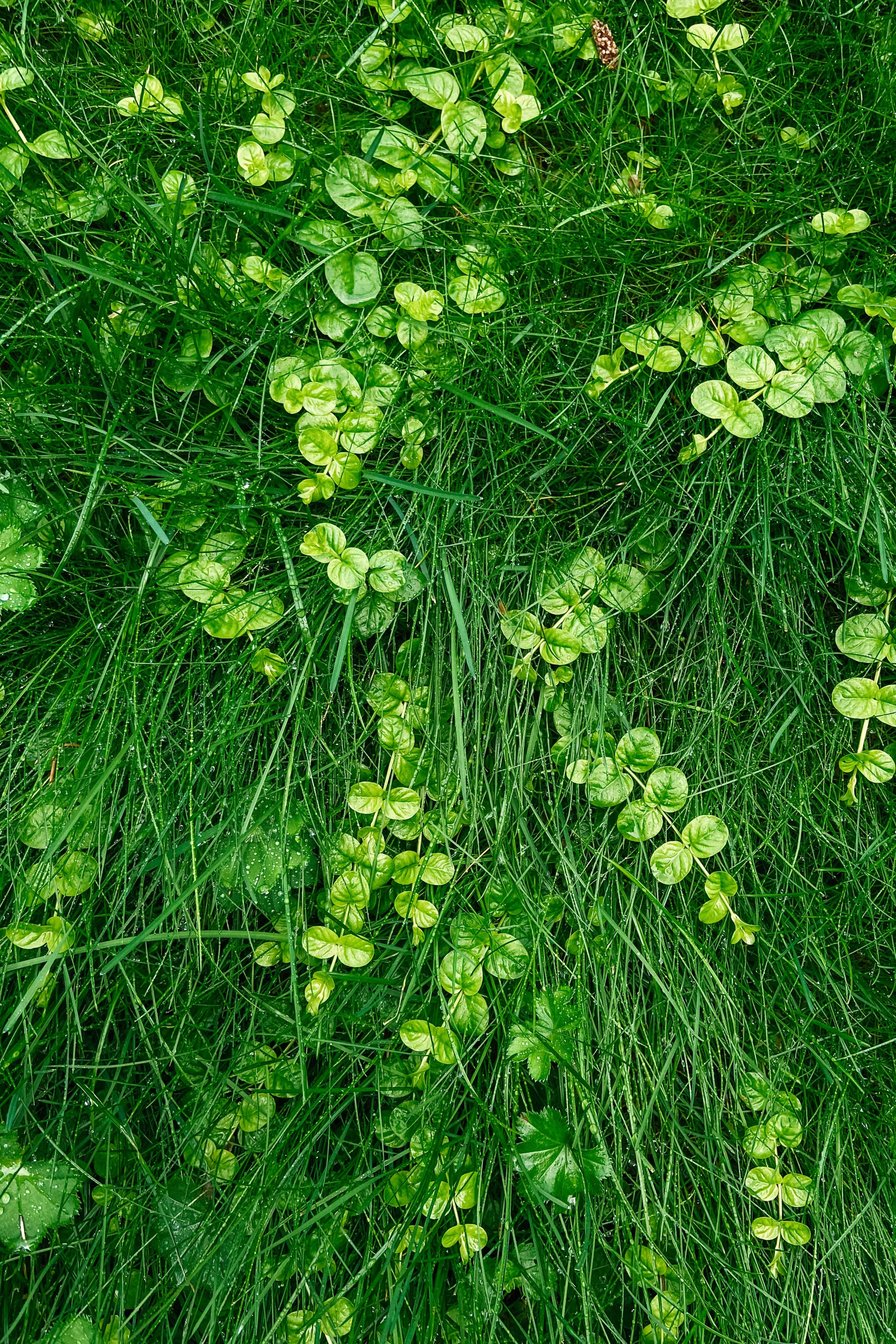 Природа. Команда фотографов Кристины Ивановой