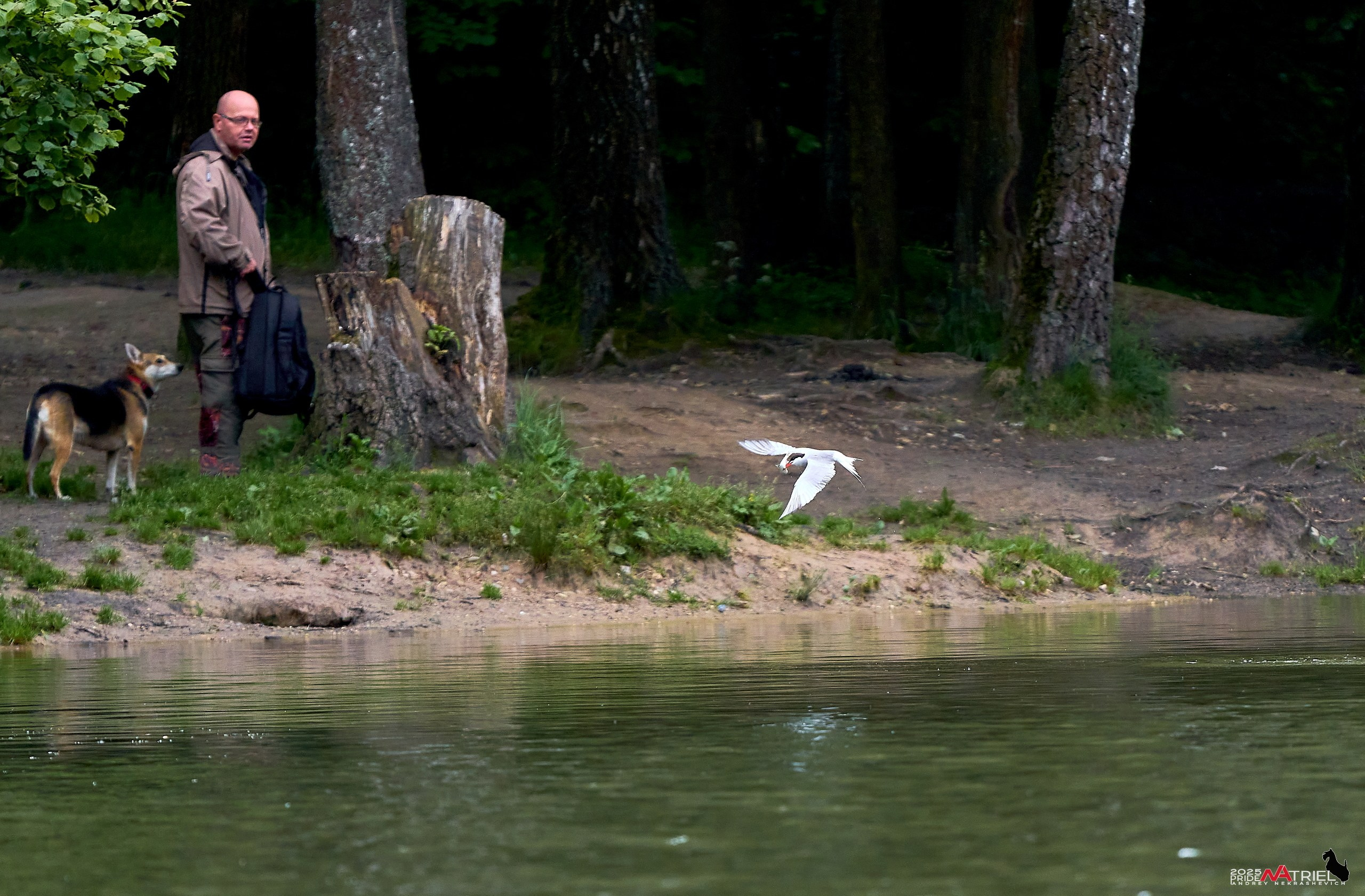 Съемка в парке на воде