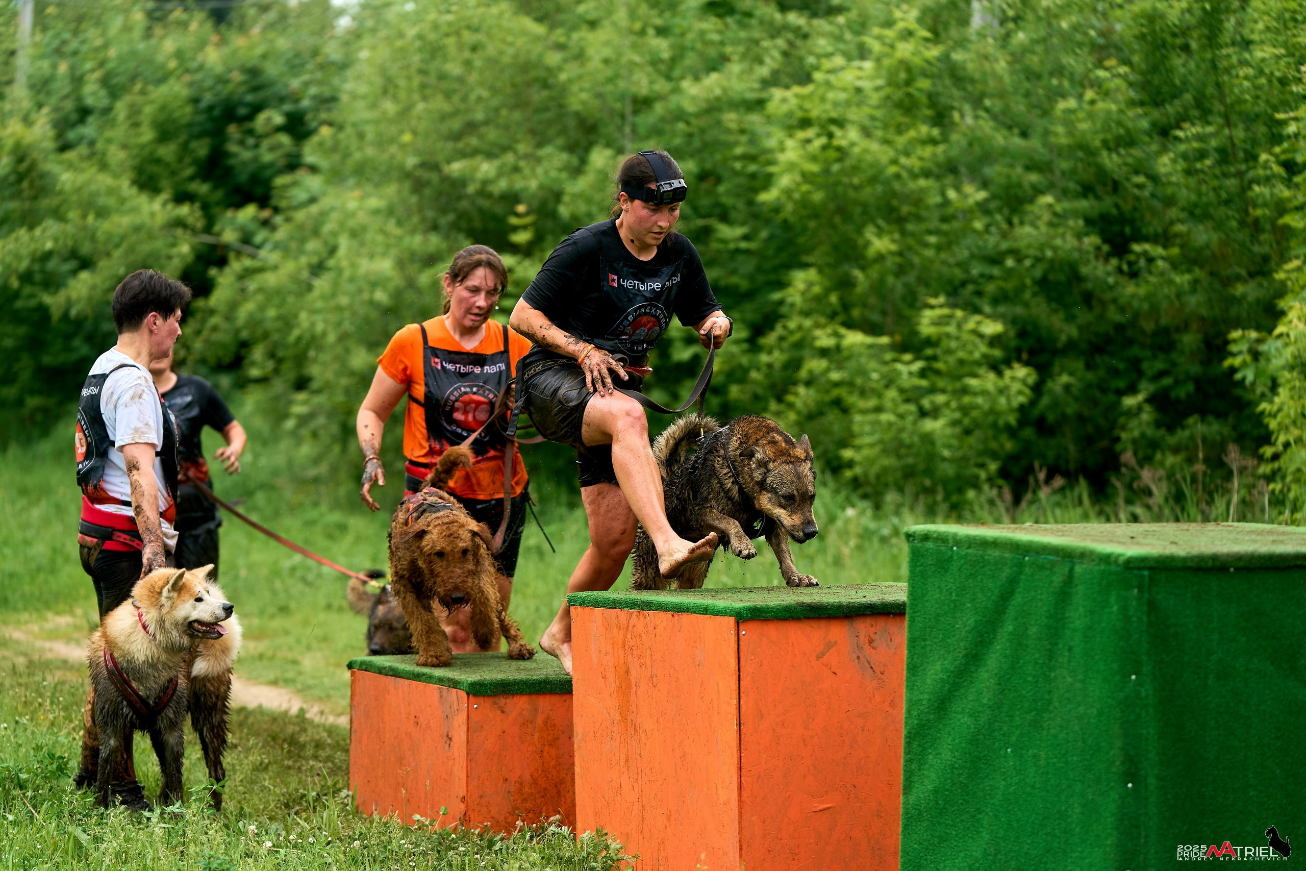 Russian Extreme Dog Trail — 2025