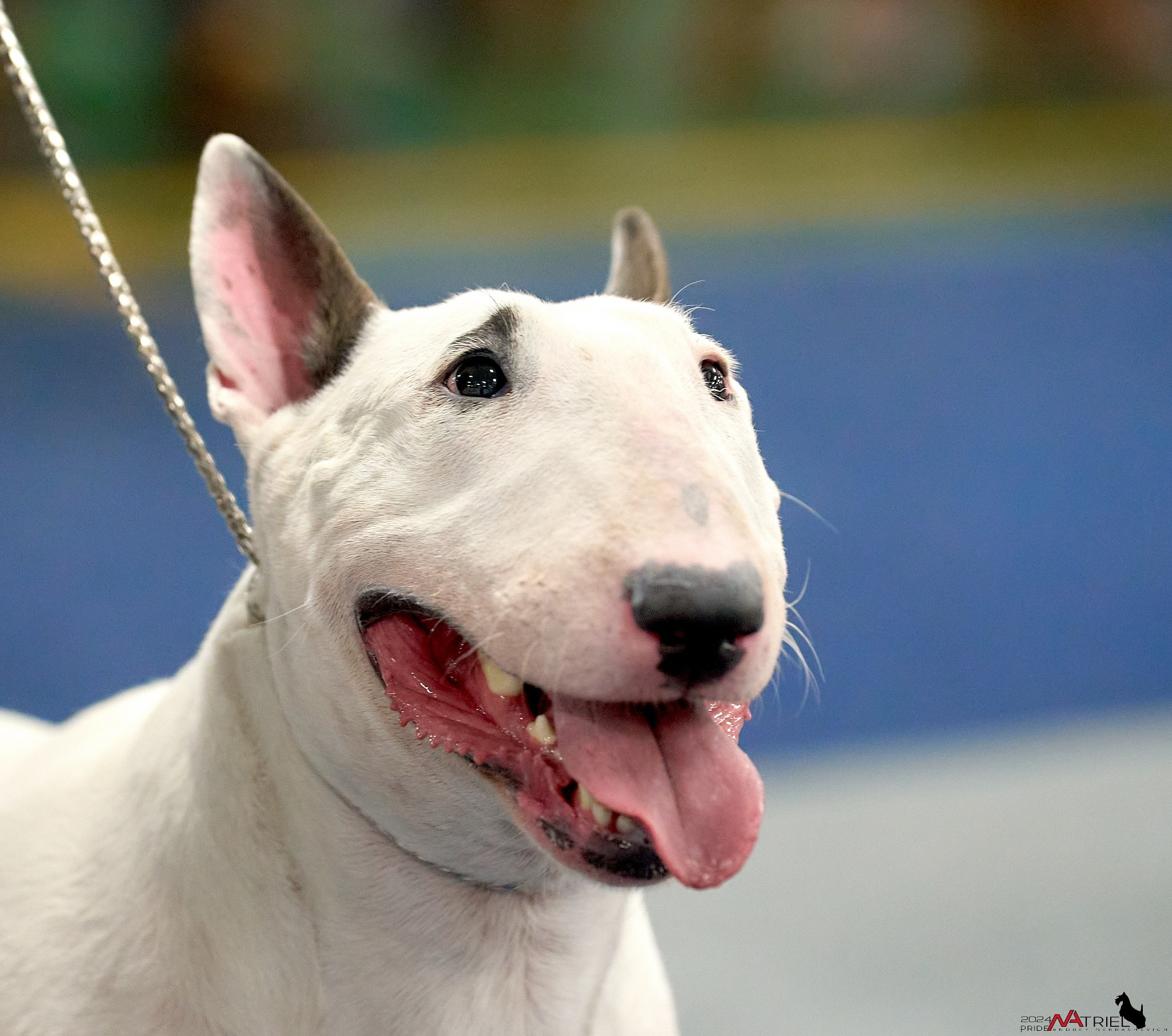 Съемка на выставке в Сфере