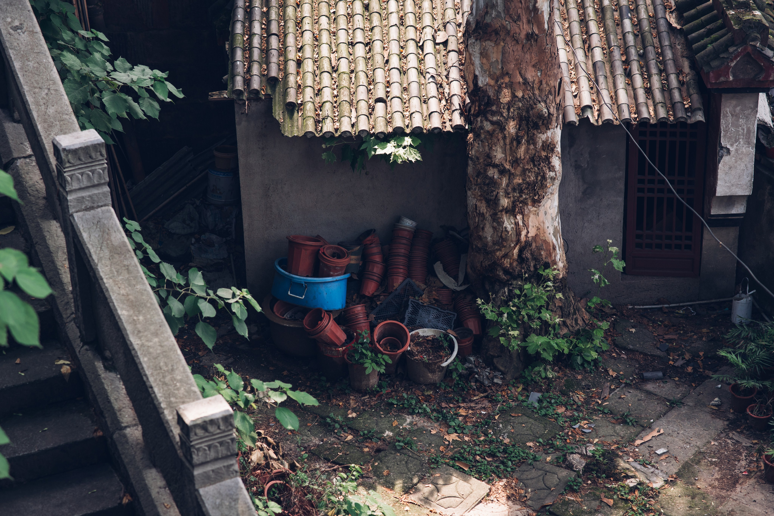 Рекламный фотограф из Гуанчжоу: путешествие по Уханю через объектив камеры. Коммерческий и предметный фотограф в Гуанчжоу Коваленко Александр