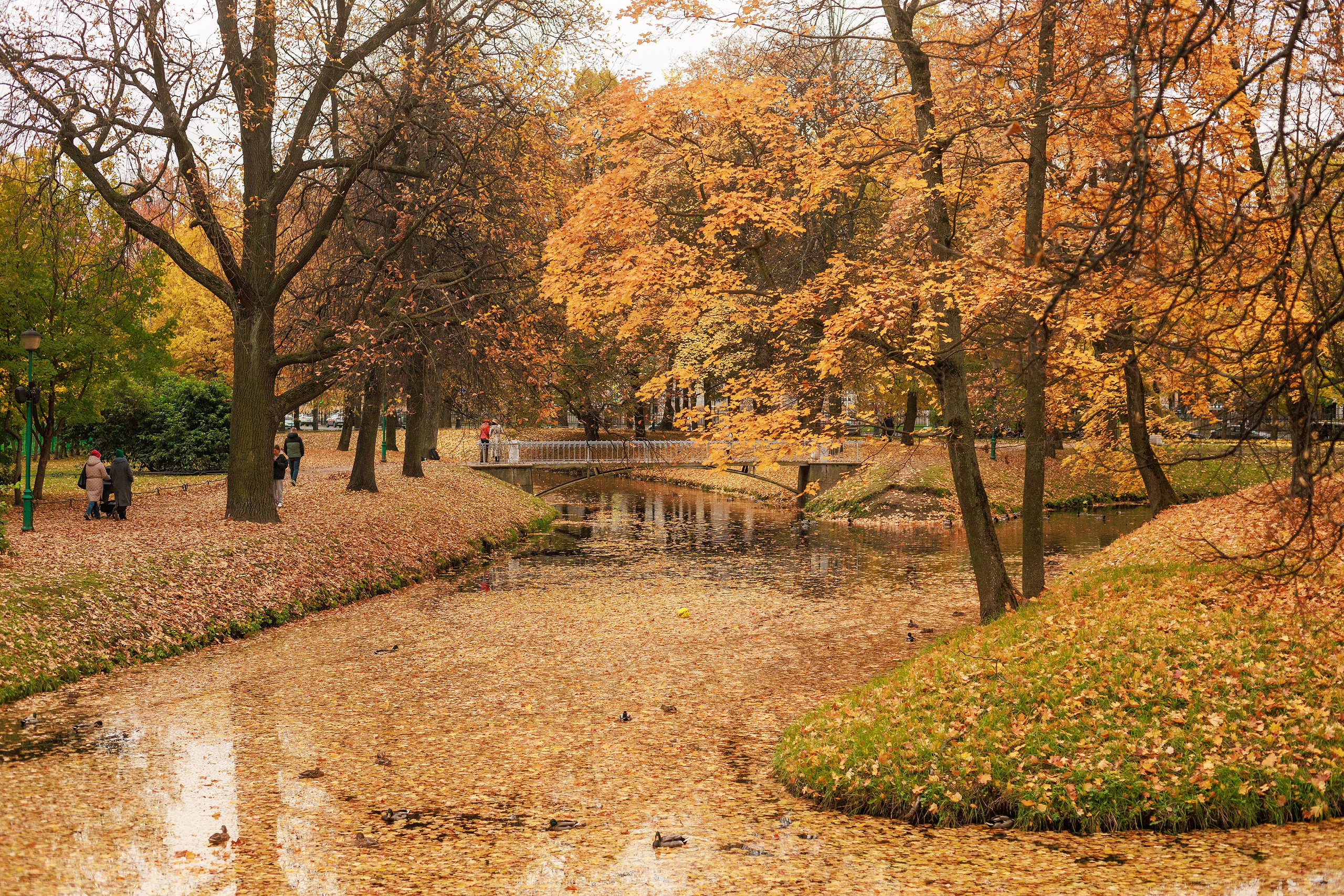 ПРОГУЛКИ. 2323.рф, 2323