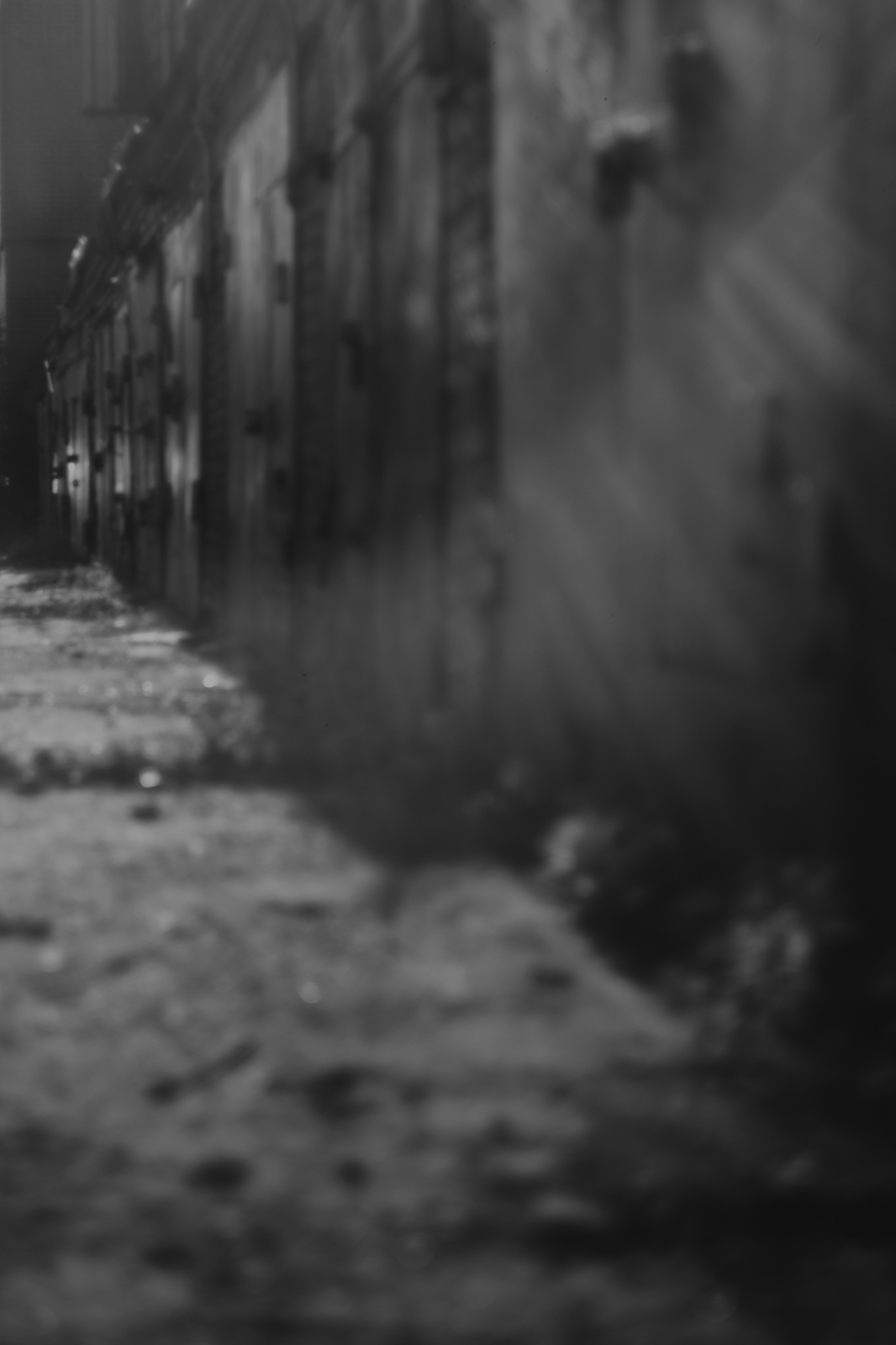 Noir of the Metropolis. Whoii art