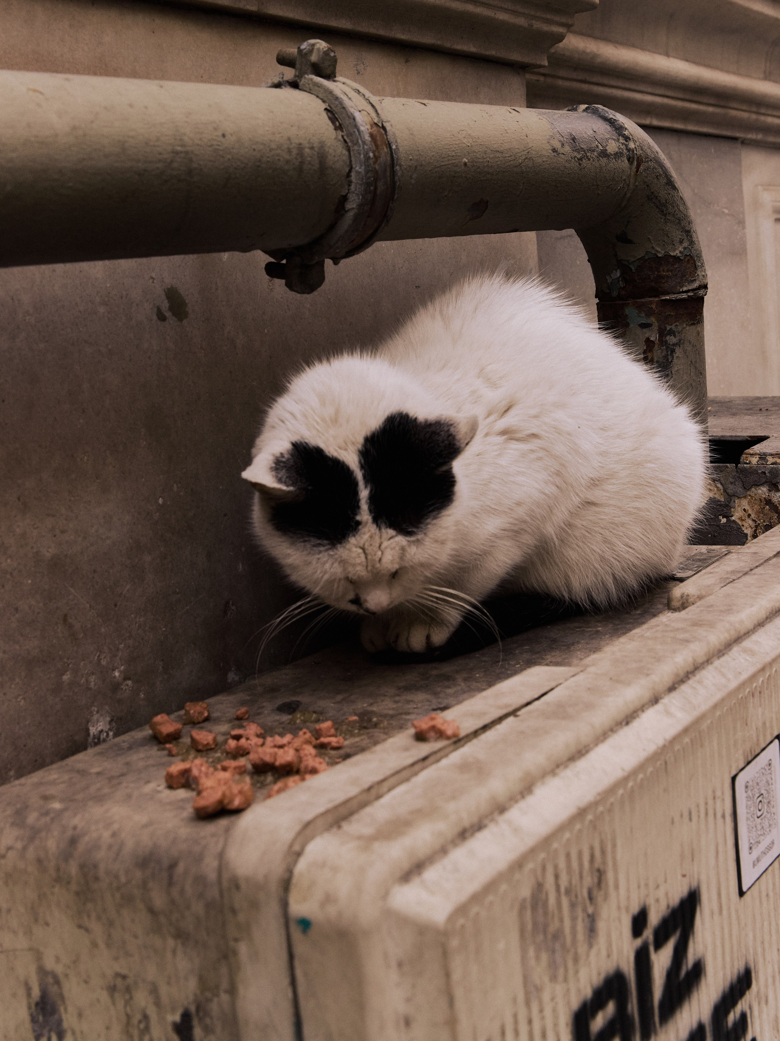 Другое 2. Jorgis Talè — photographer, kind person, teacher of arts and other mag