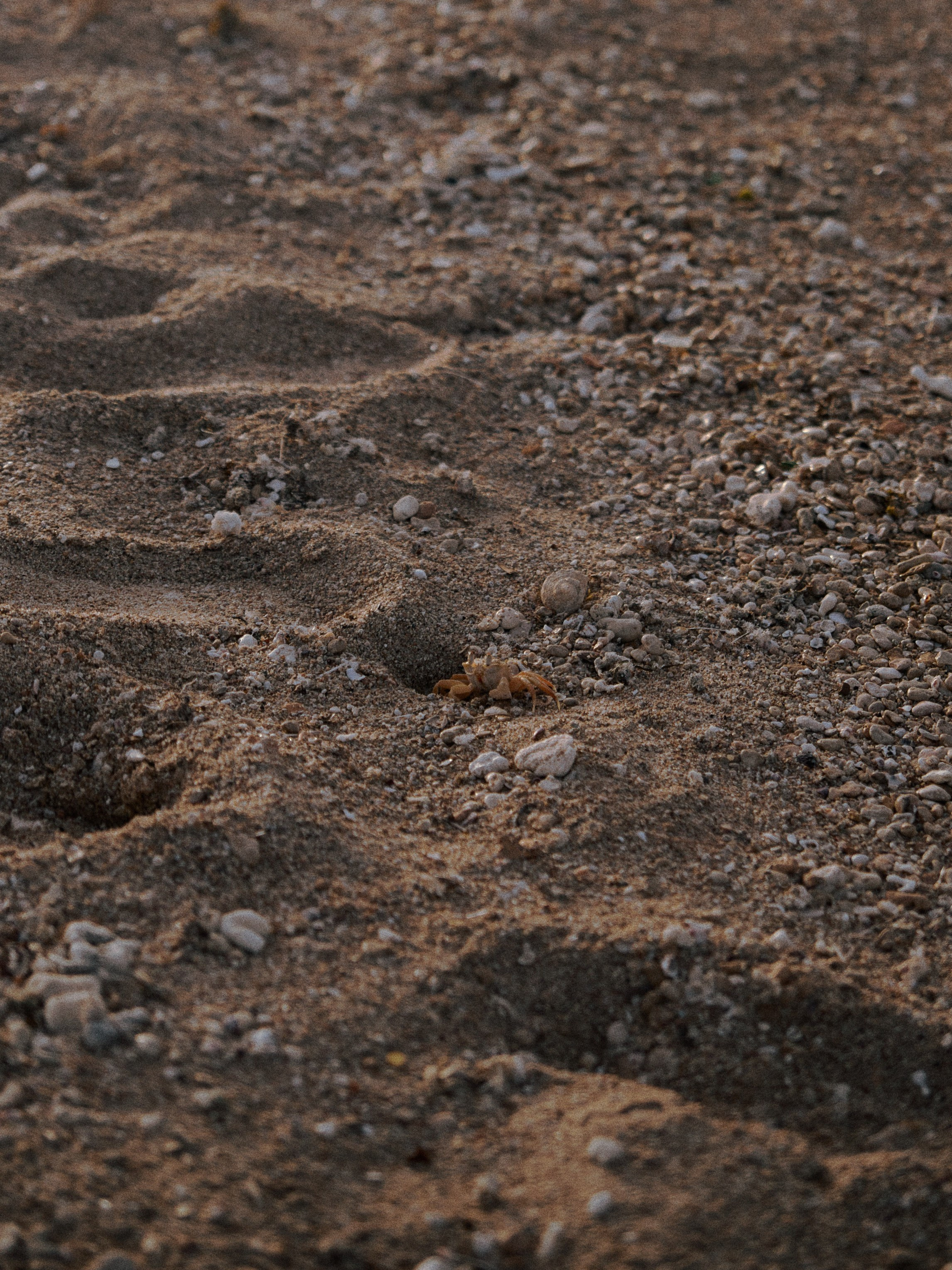 Диптих. Jorgis — фотограф в Хургаде / обучение фотографии