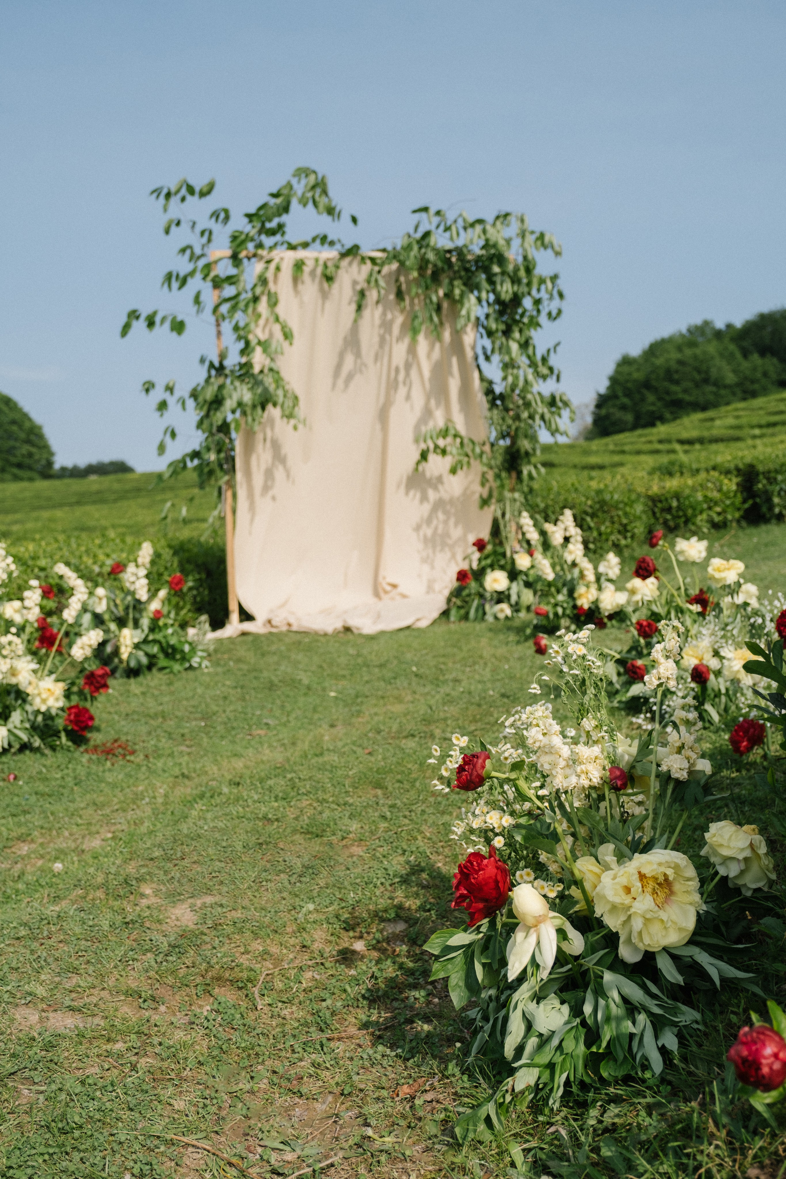 Маленькая Италия. Свадебный Видеограф Фотограф в Сочи