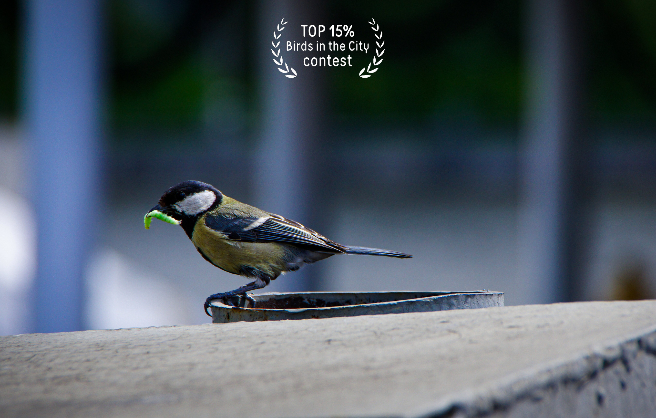 Участие в фотоконкурсах 35AWARDS. #antonfotomaster Фотограф, мастер нейровизуала в Москве Антон Фролов
