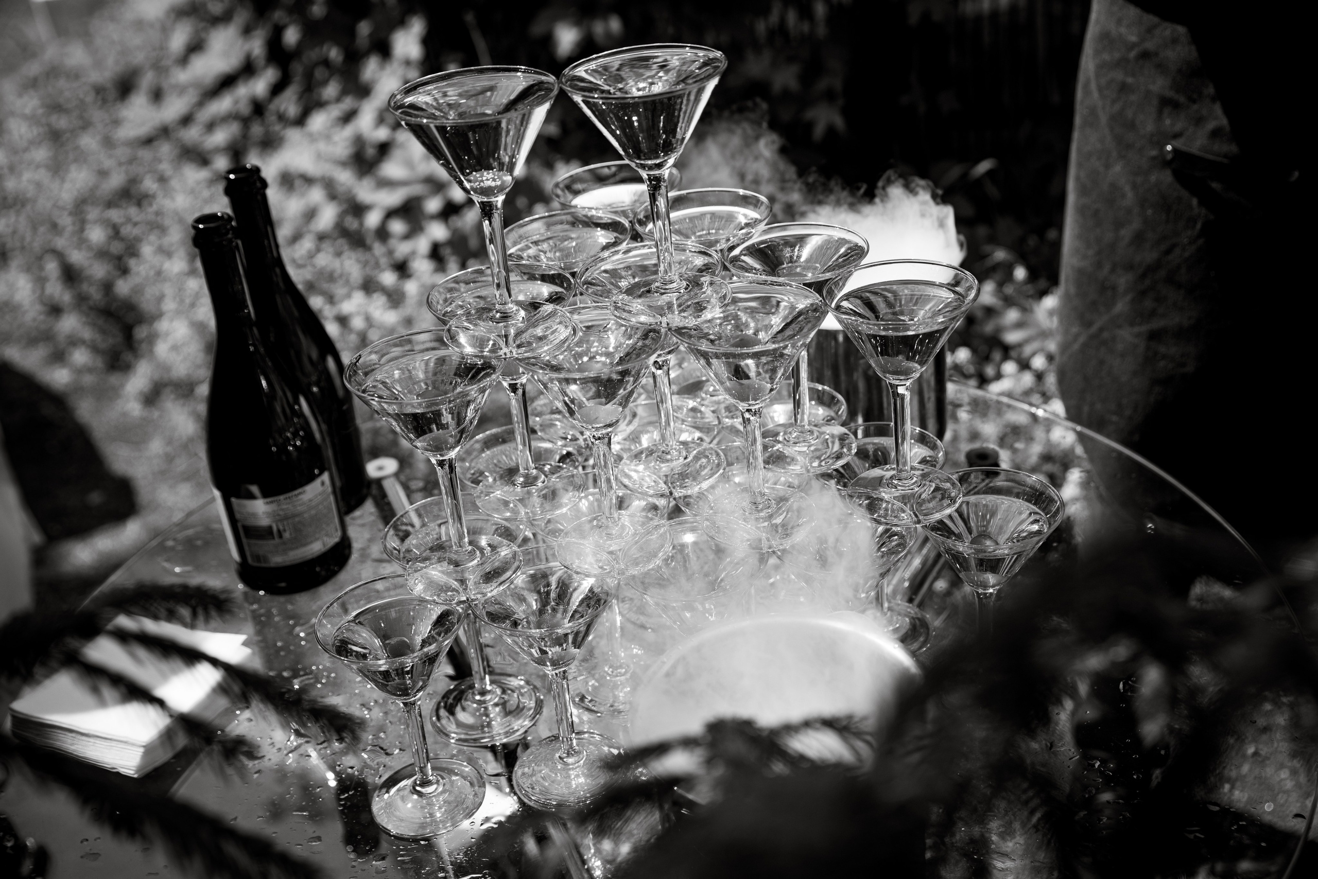 Анастасия и Никита| Зоопарк. Фотограф Москва Шептаев Артём