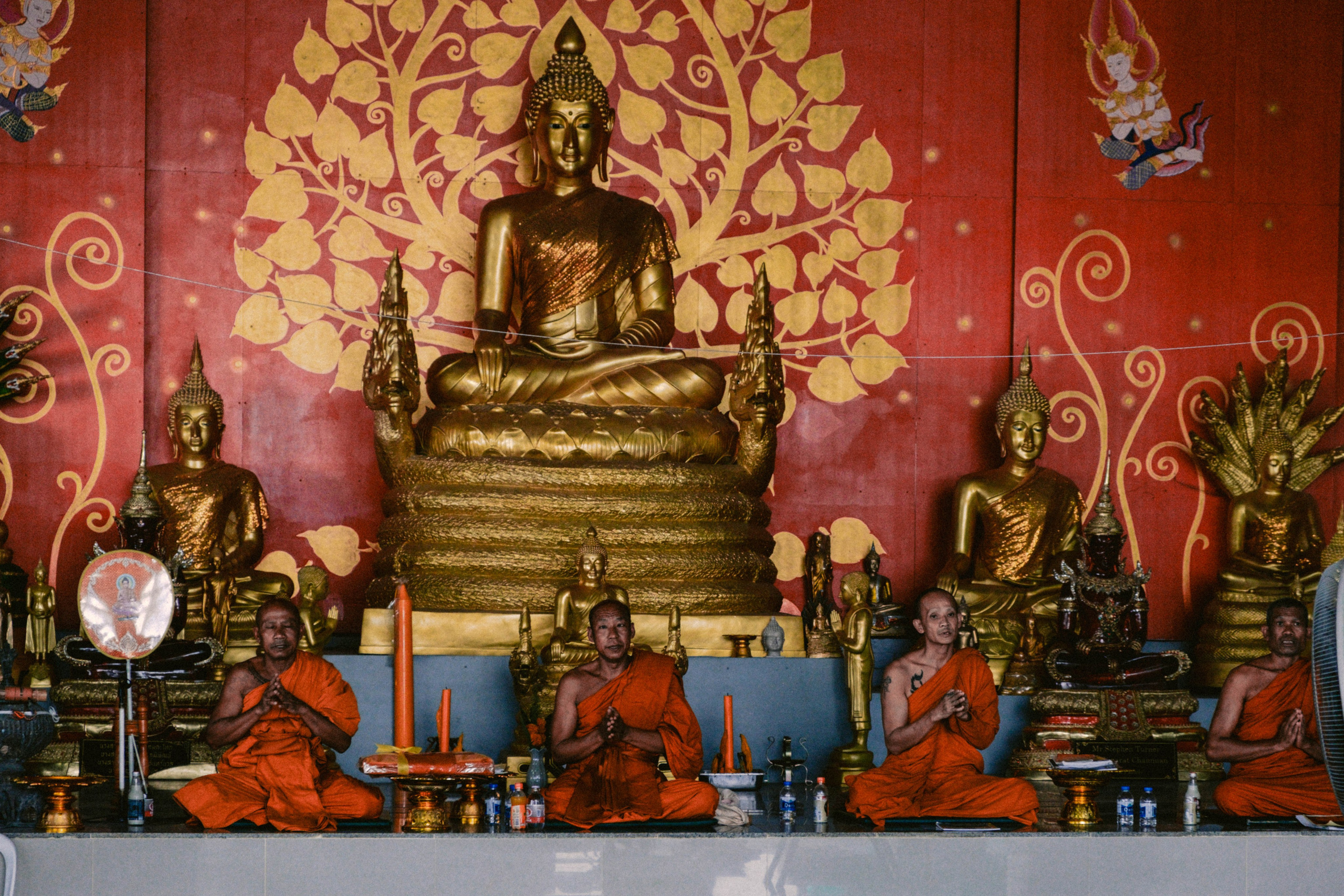 Путешествия. Контент-фотограф и видеограф в Перми