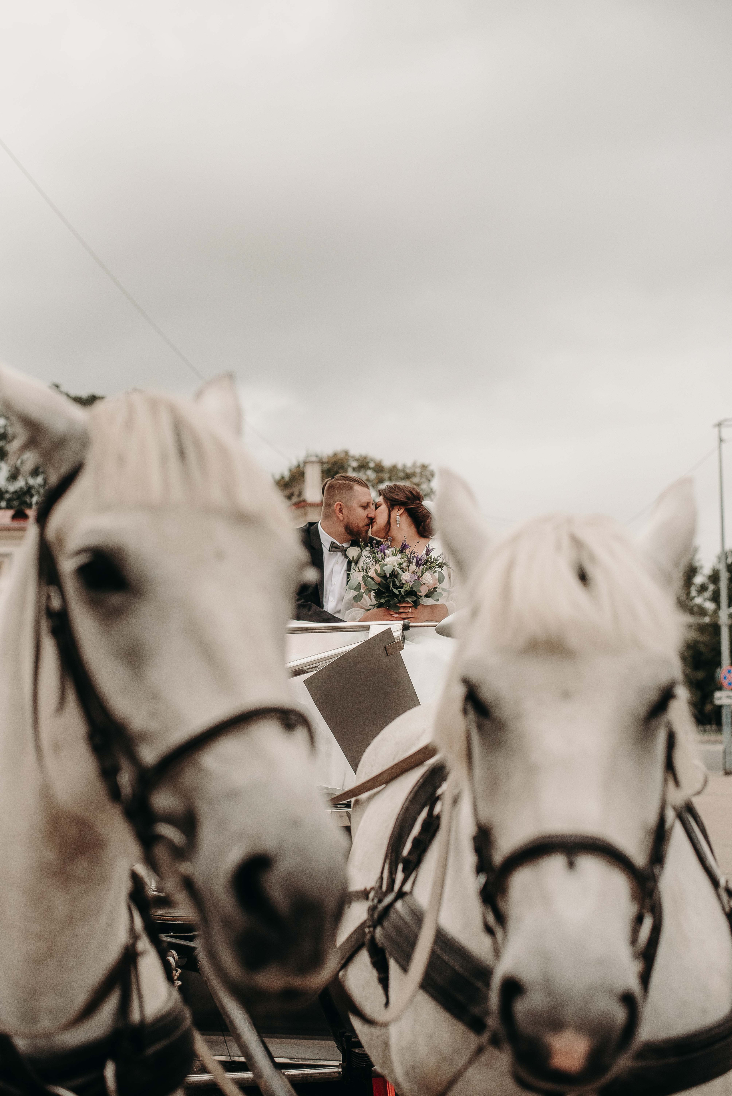Лена & Александр. Фотограф Мария Хлебникова Санкт-Петербург Москва
