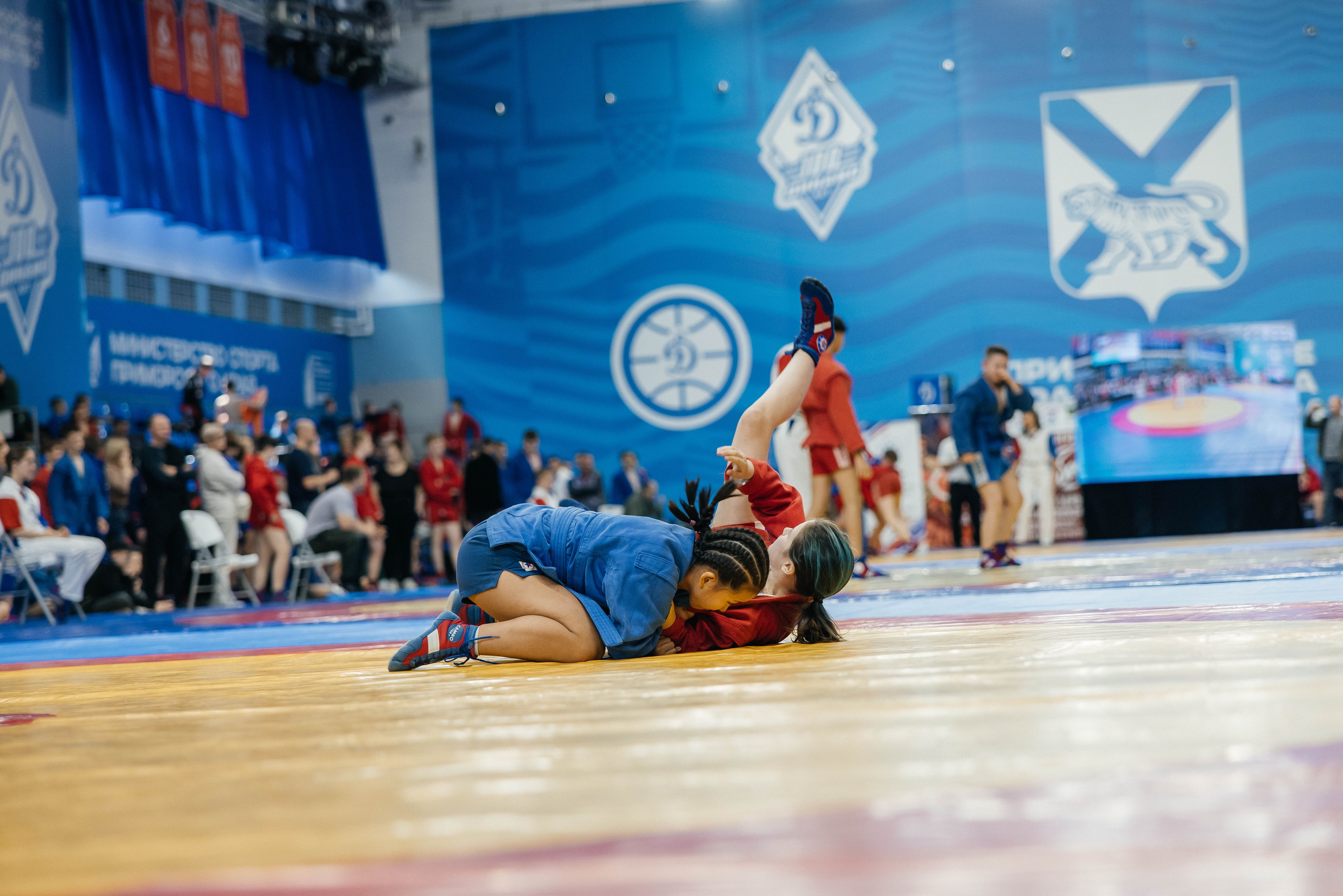 Sambo Championship. Maxim Tsoy Photography