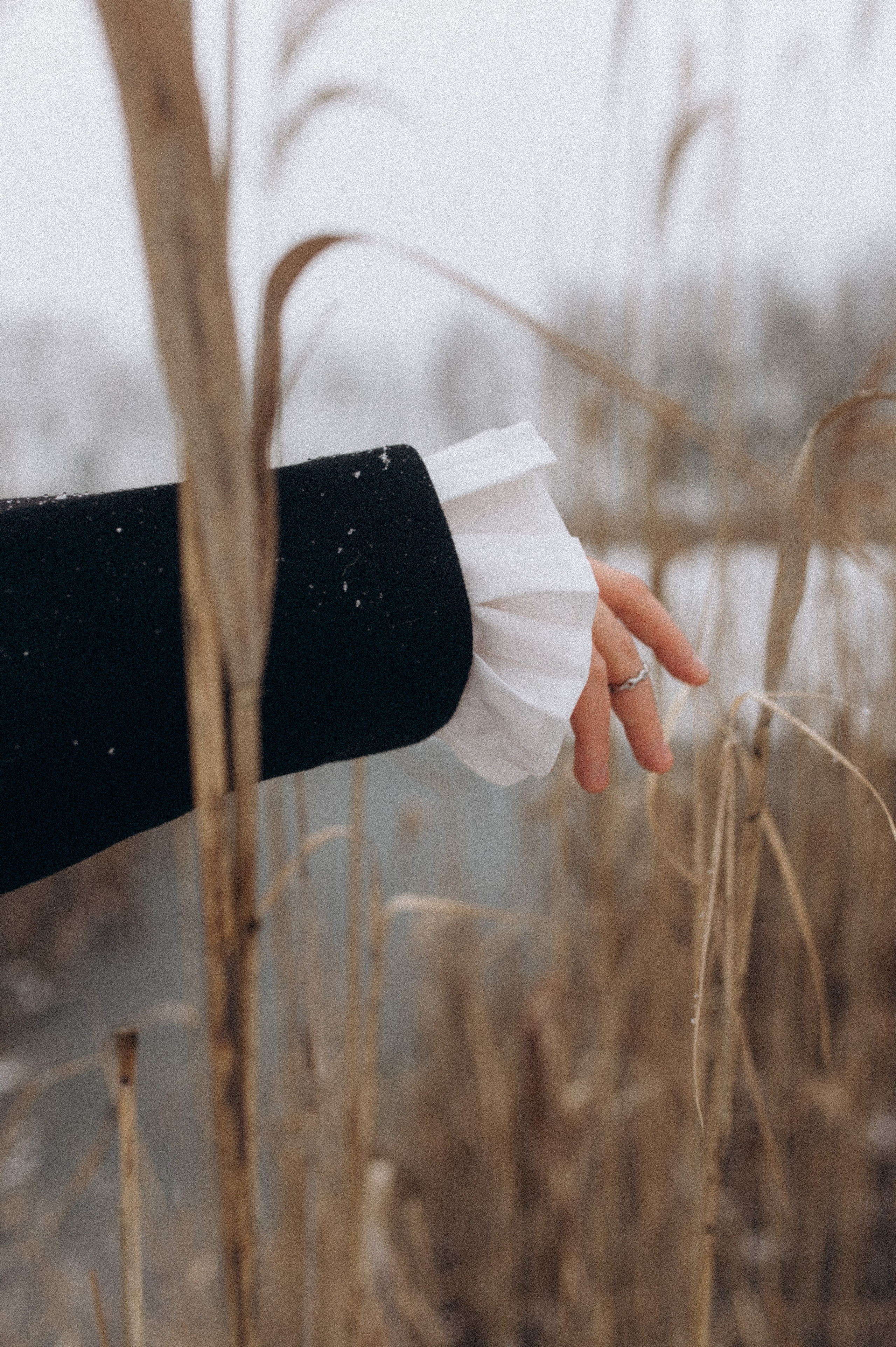 Даша. Свадебный, семейный и портретный фотограф в Суворове Анастасия Седыкин