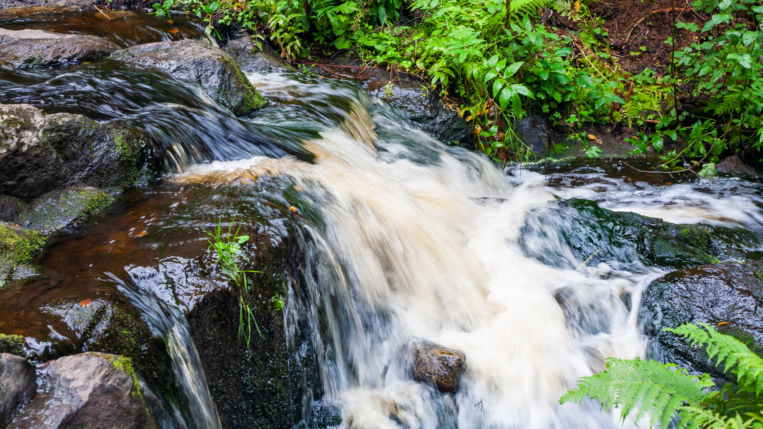 Nature/Urban. Владислав Ромашев. Семейный и детский фотограф из Москвы
