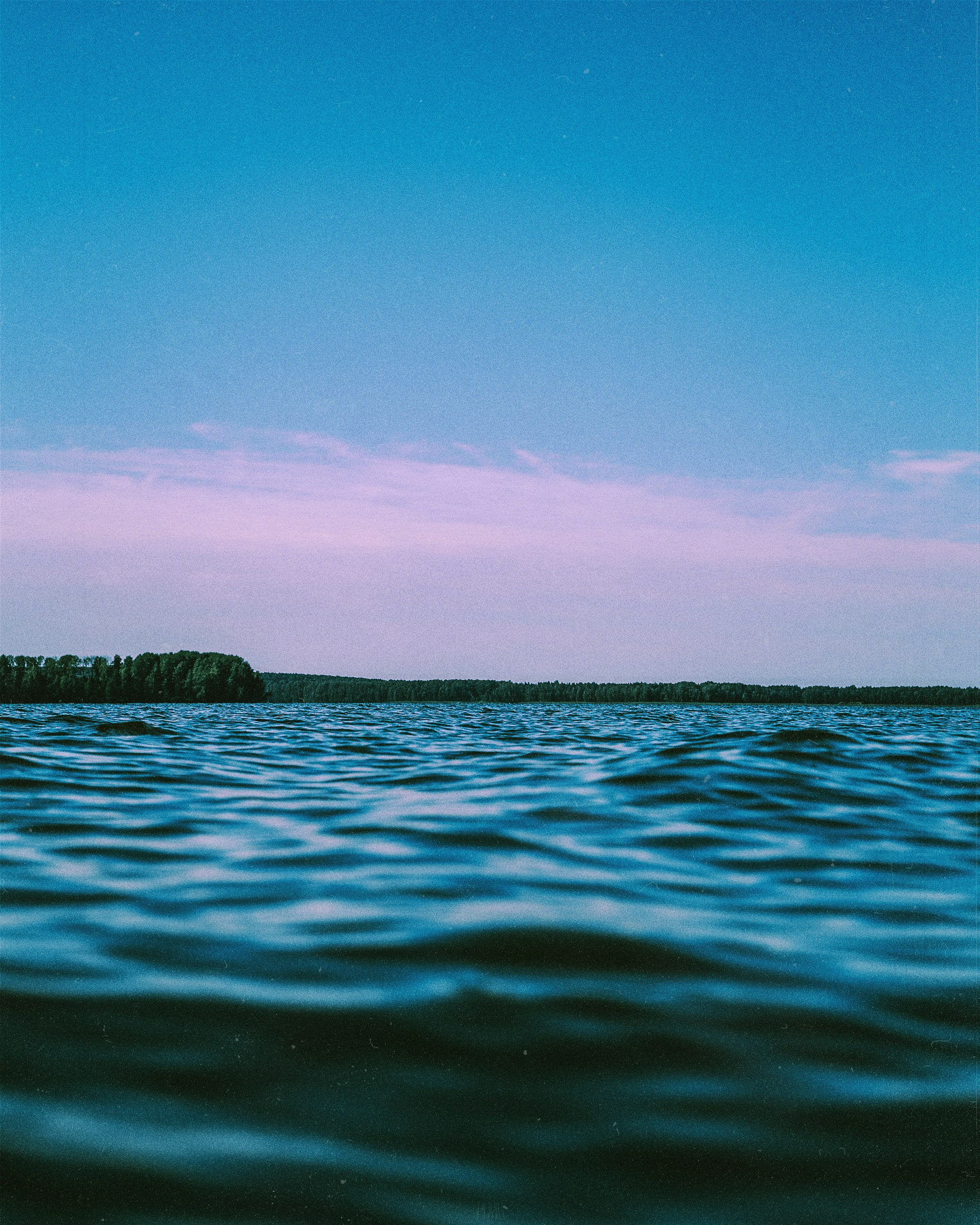 N a t u r e. Your photographer