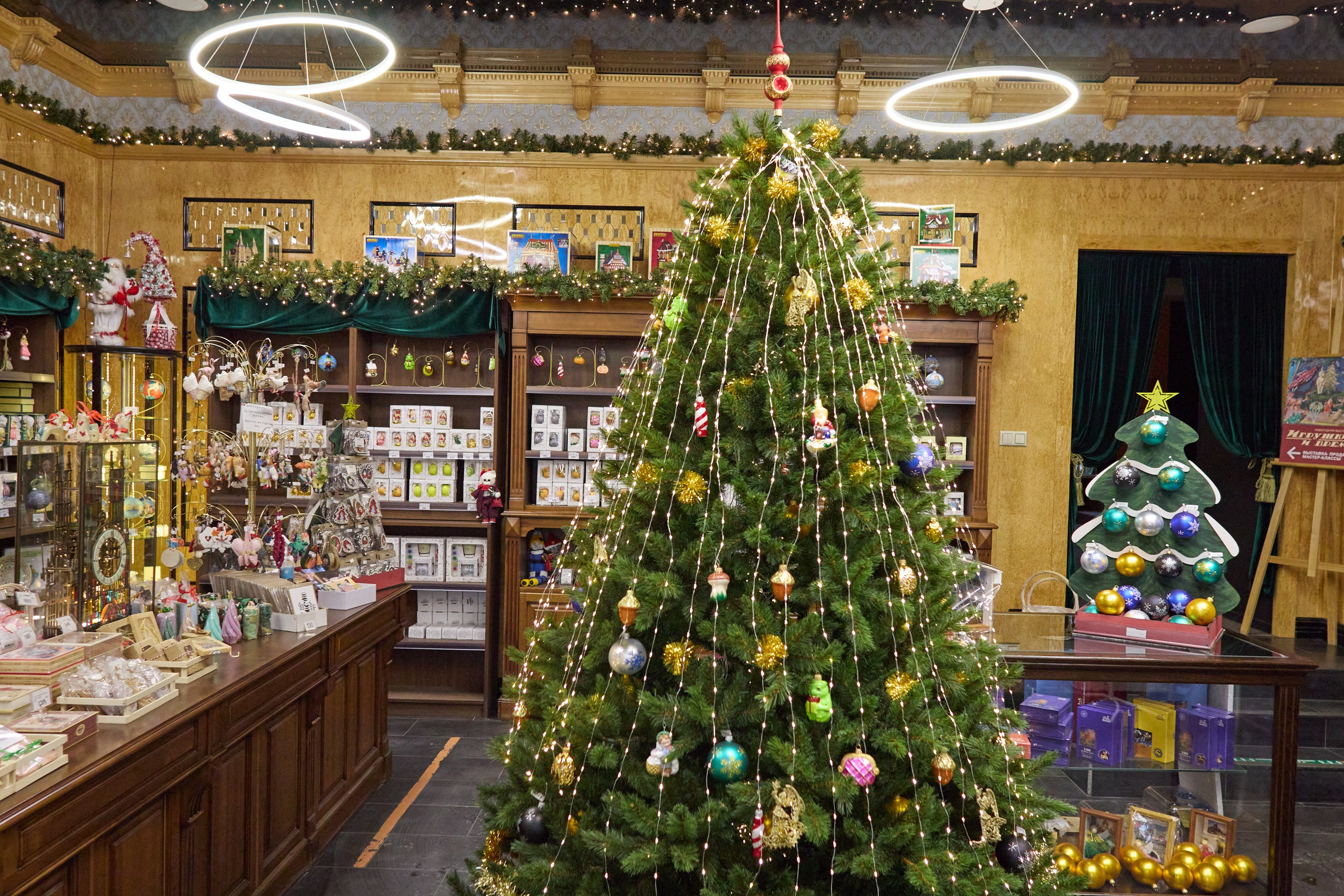 Рождество въ Санктъ-Петербургѣ. Фотографъ Сергѣевъ. Поймать мгновеніе