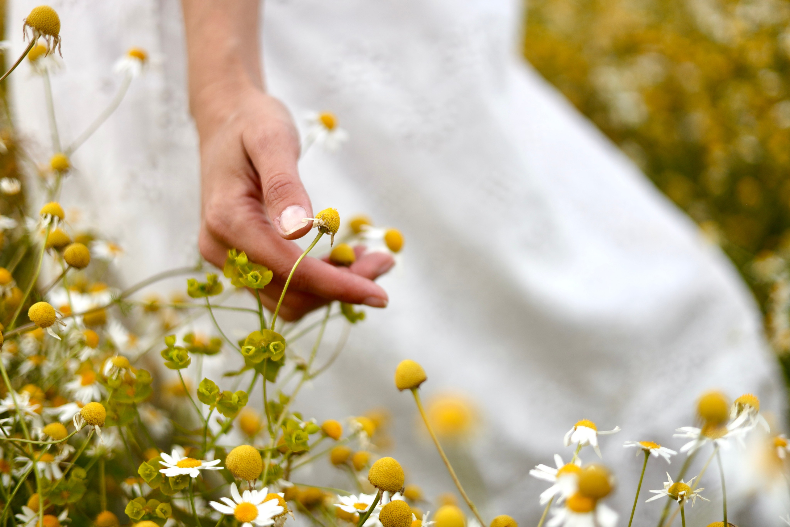 Елена Ромашки. Фотограф Челябинск Беспалова Надежда
