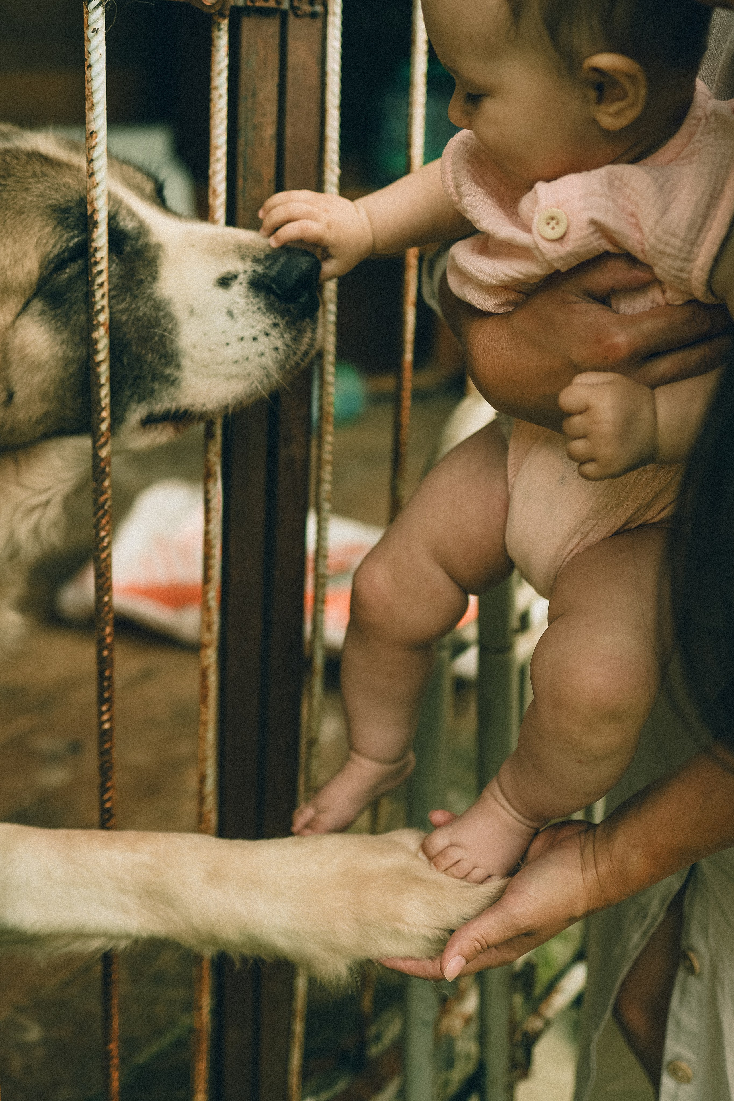 Пакет «Ньюборн lifestyle». Портретный и семейный lifestyle фотограф Мария Боленичева в Москве и Красногорске