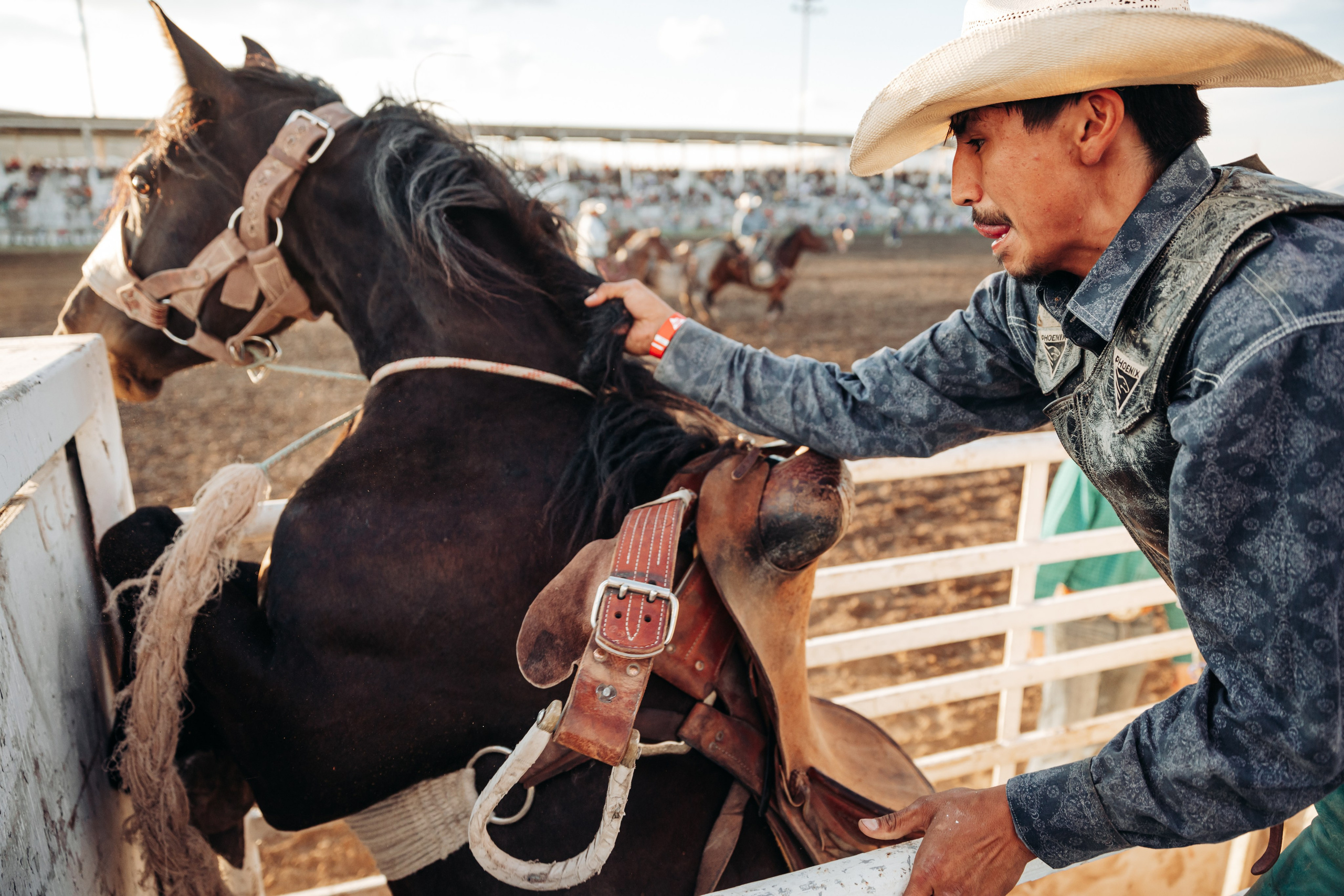 Мужчина на коне. Колористика Victory photo