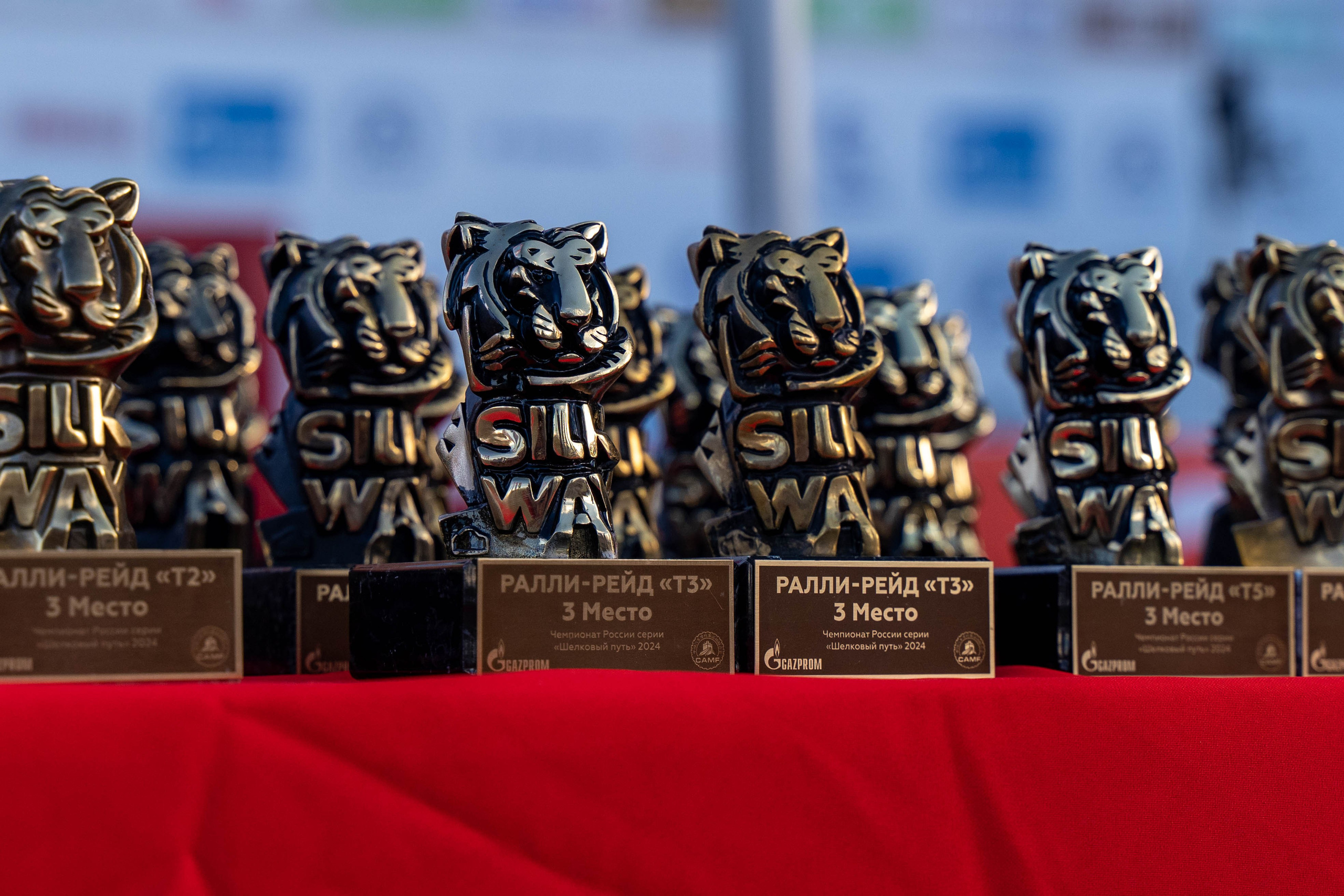 НАГРАДНАЯ АТРИБУТИКА. Портфолио