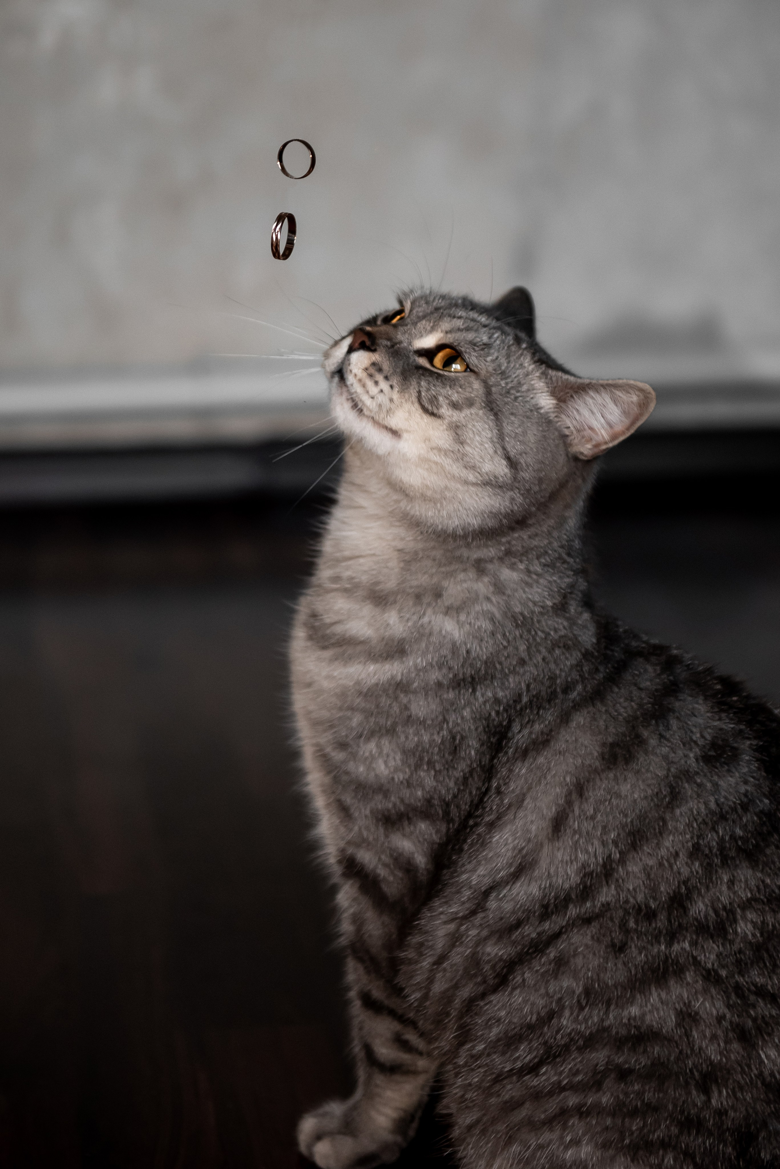 Данил и Анастасия. Свадебный фотограф в Новосибирске. Александра Верхушина