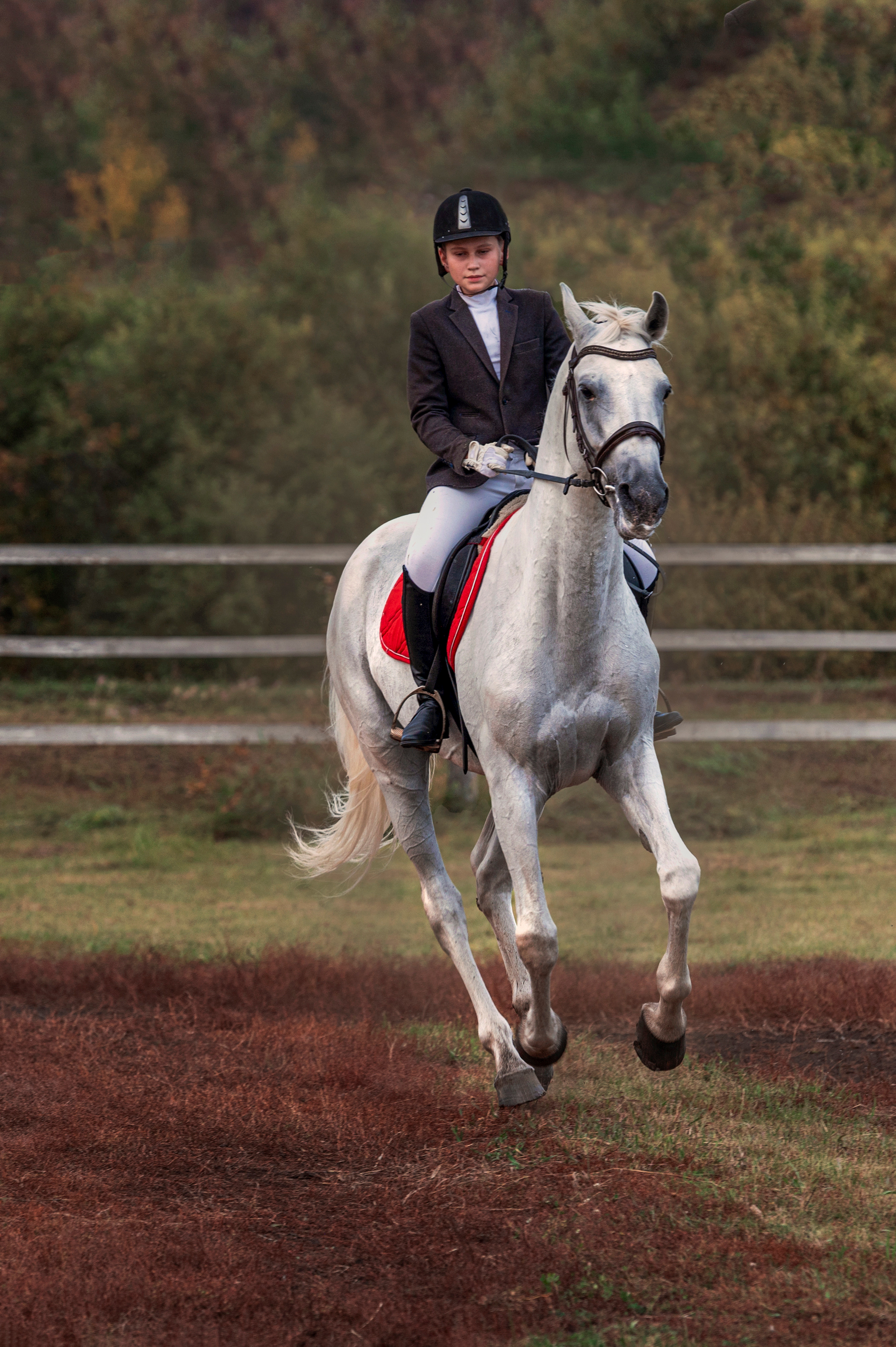 Спортсмены. Семейный и детский фотограф в Канске и Канском р-не, Красноярск и