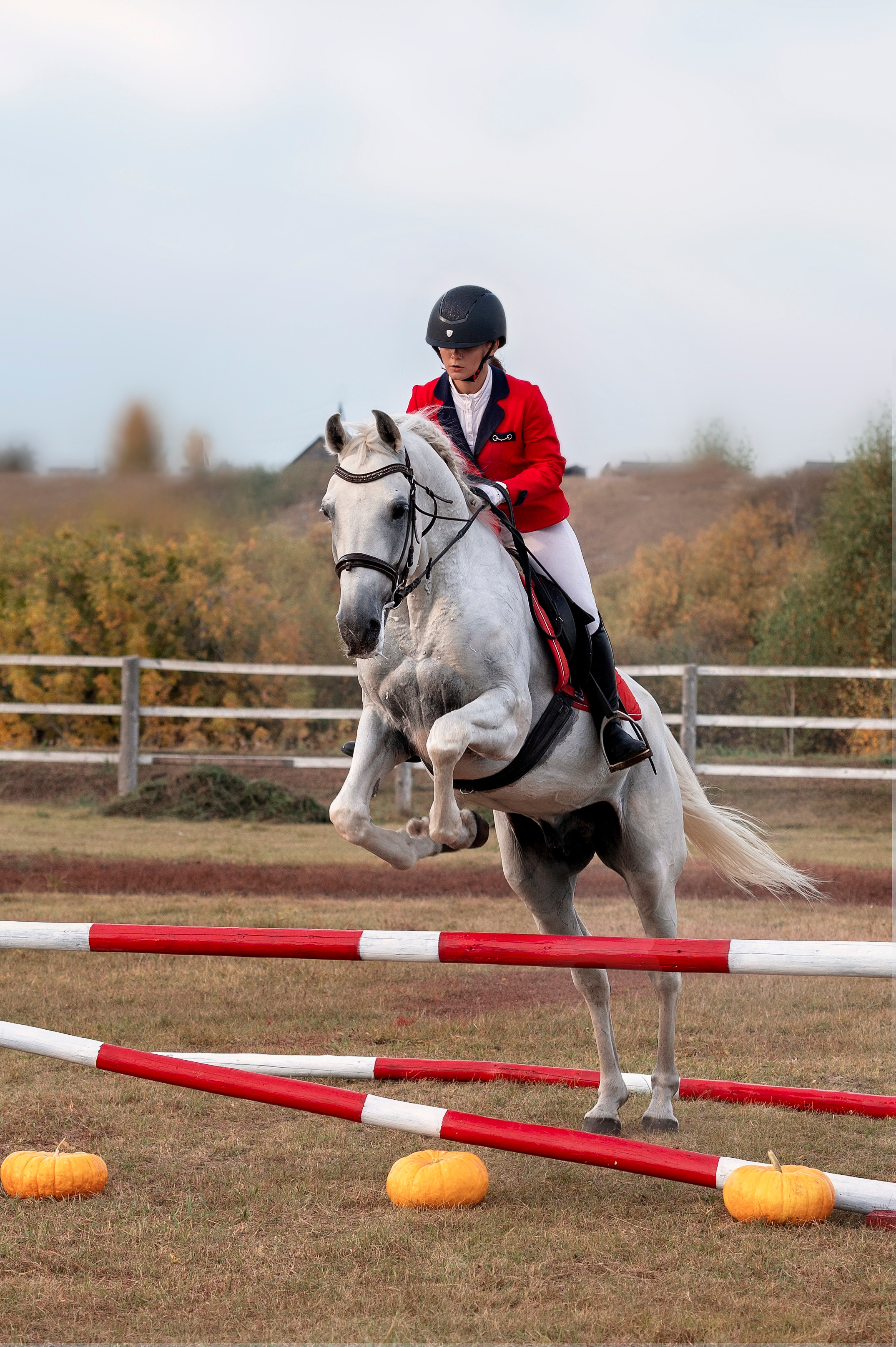 Спортсмены. Семейный и детский фотограф в Канске и Канском р-не, Красноярск и